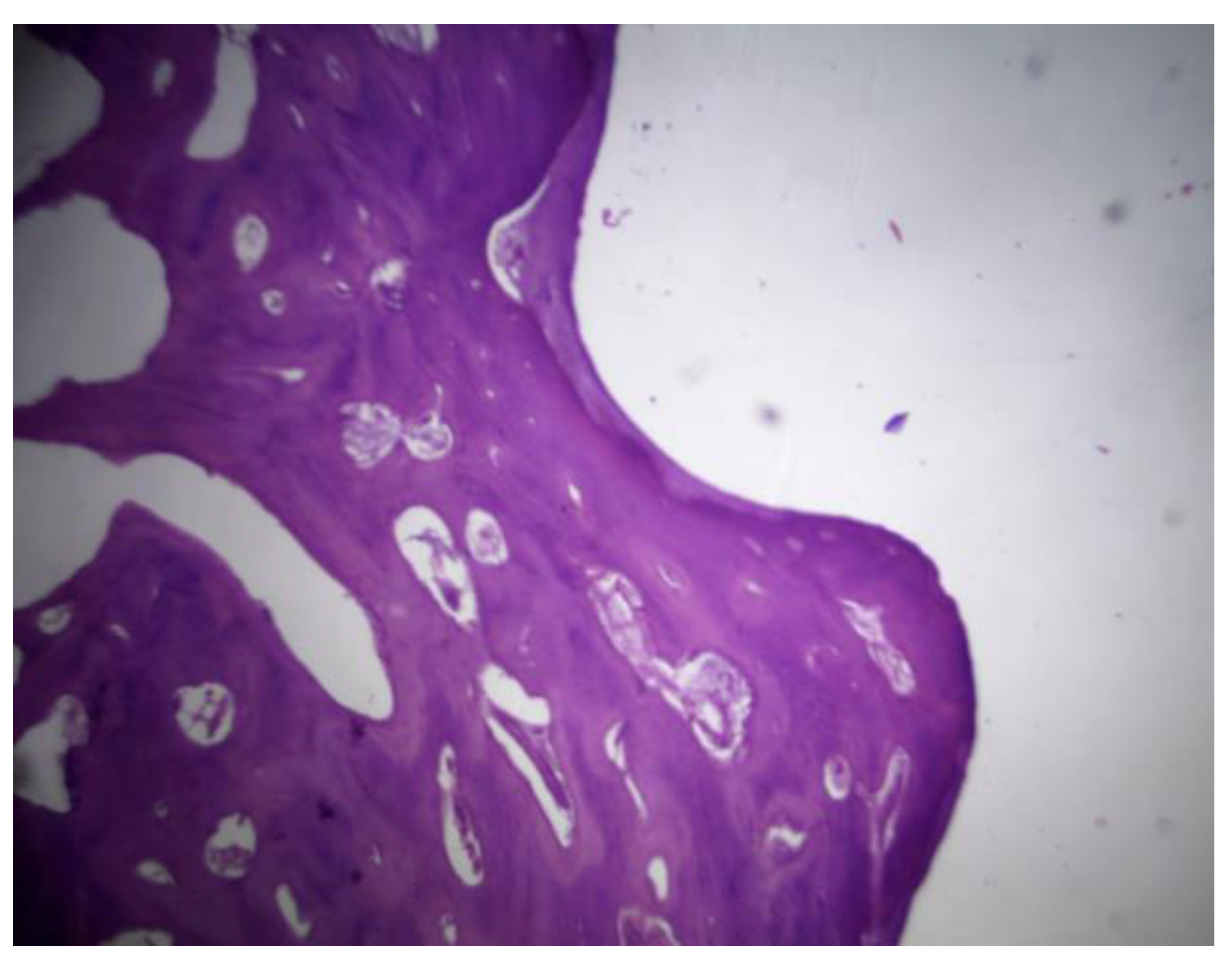 Preprints 161691 g031