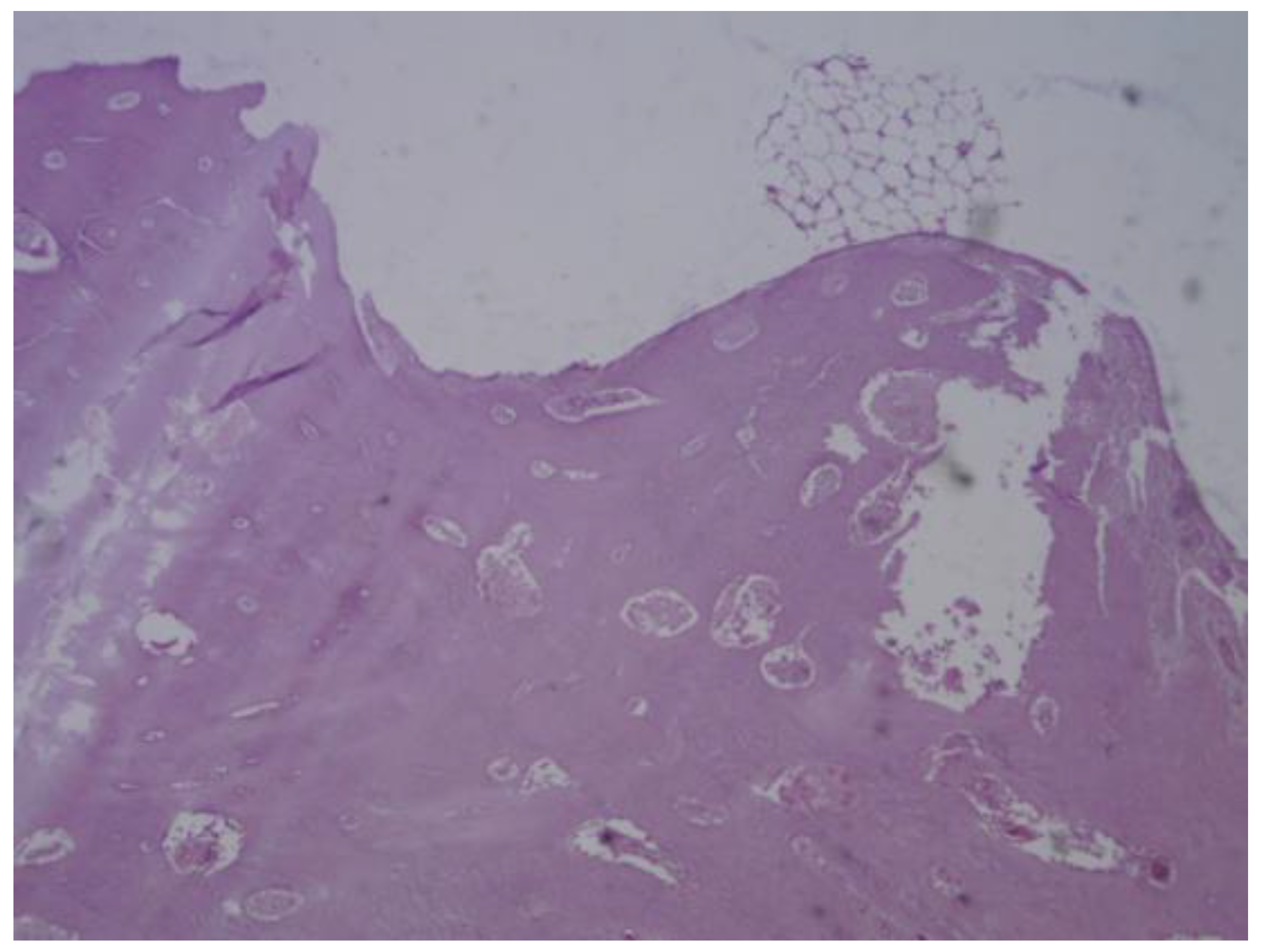 Preprints 161691 g033