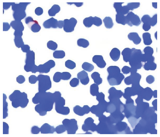 Preprints 159756 g012