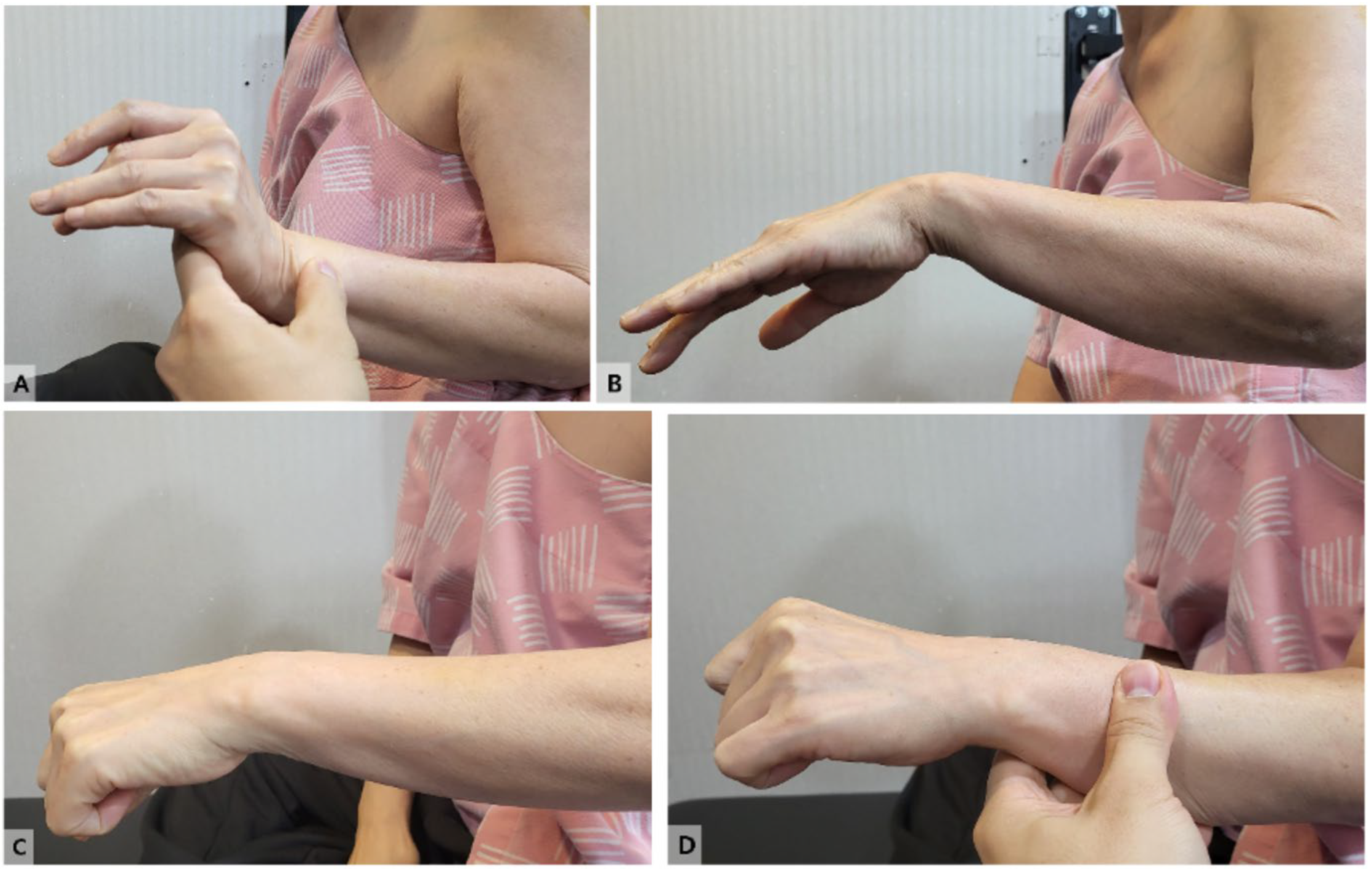 Preprints 161553 g001