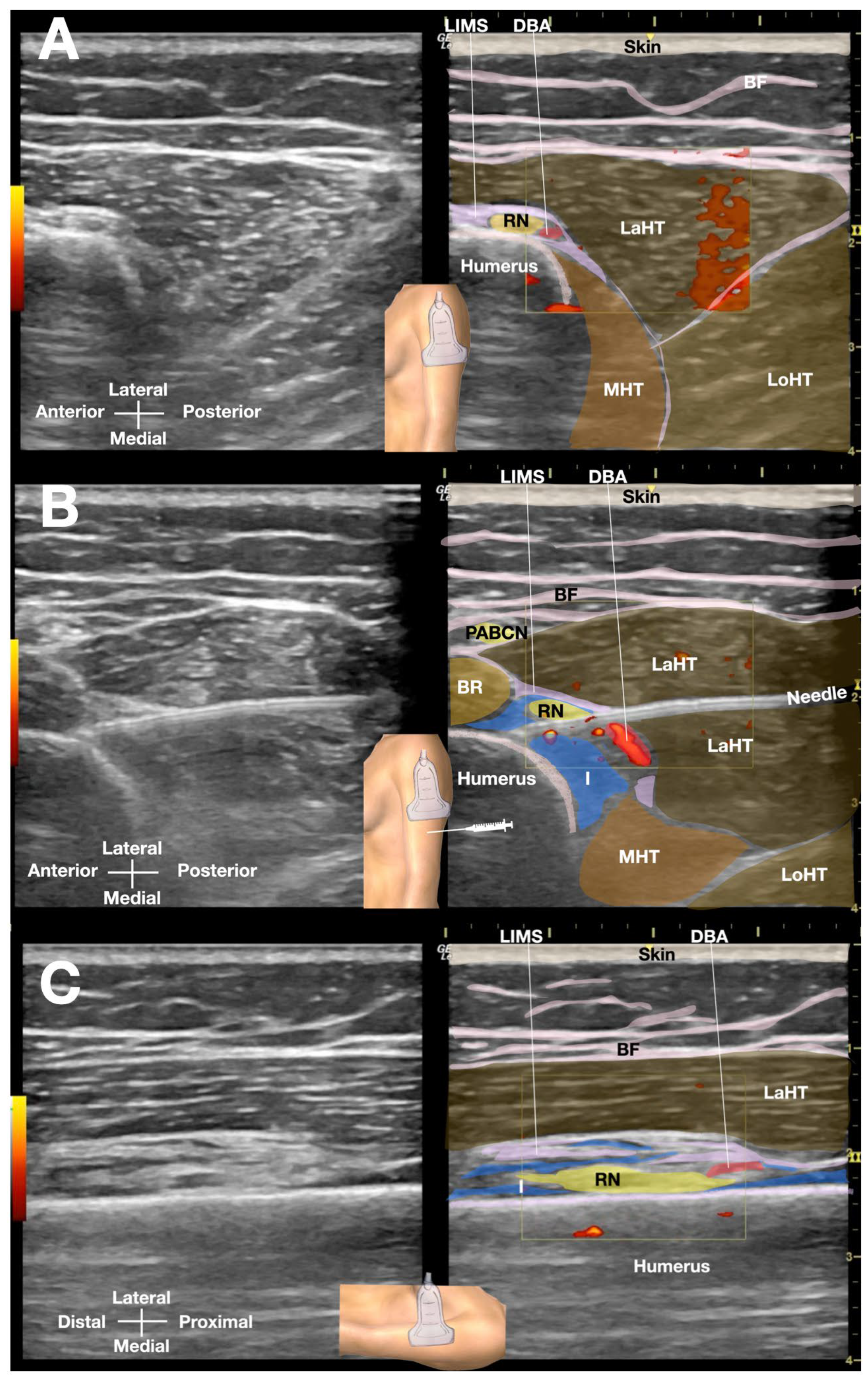 Preprints 161553 g003