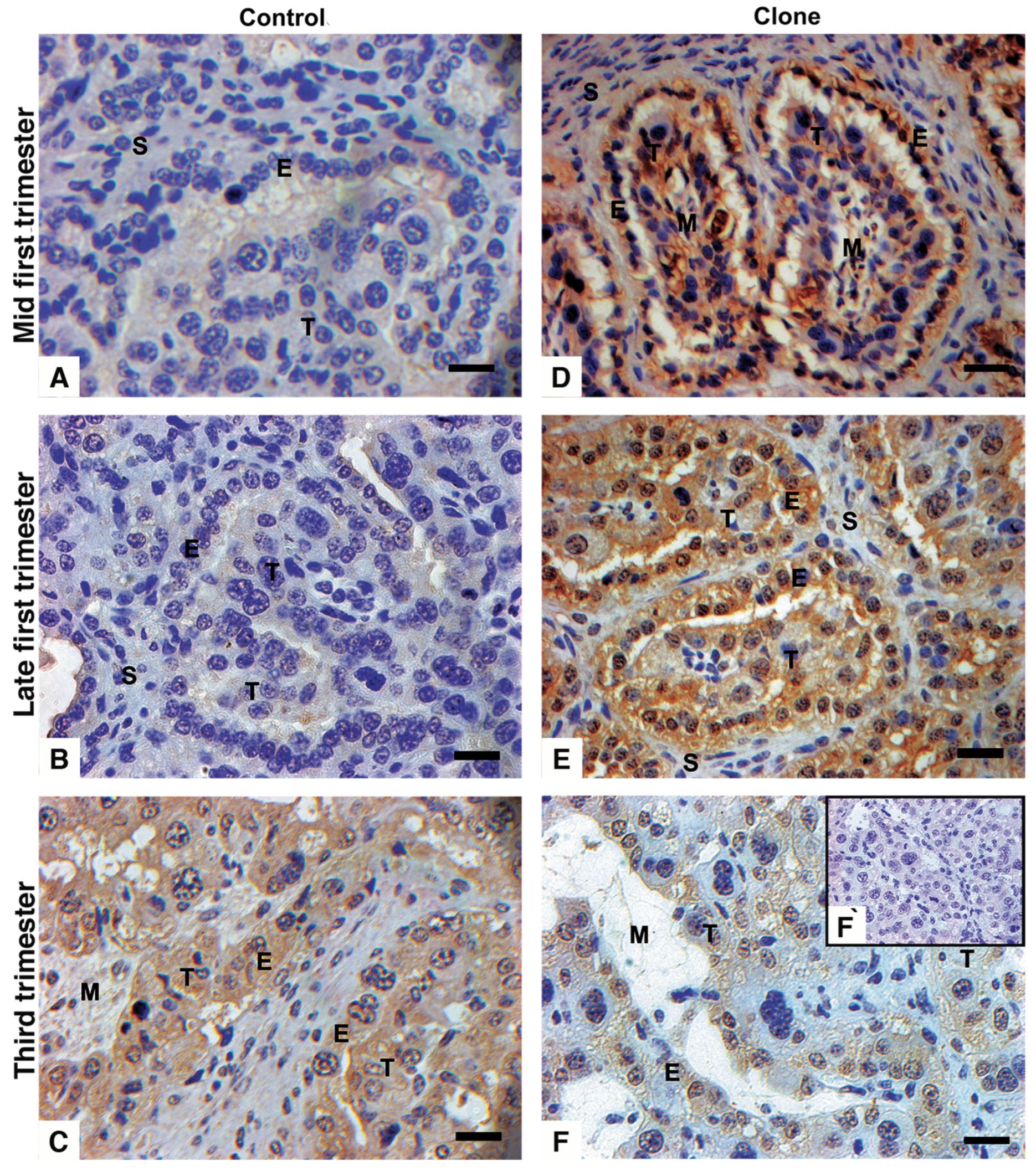 Preprints 149246 g002