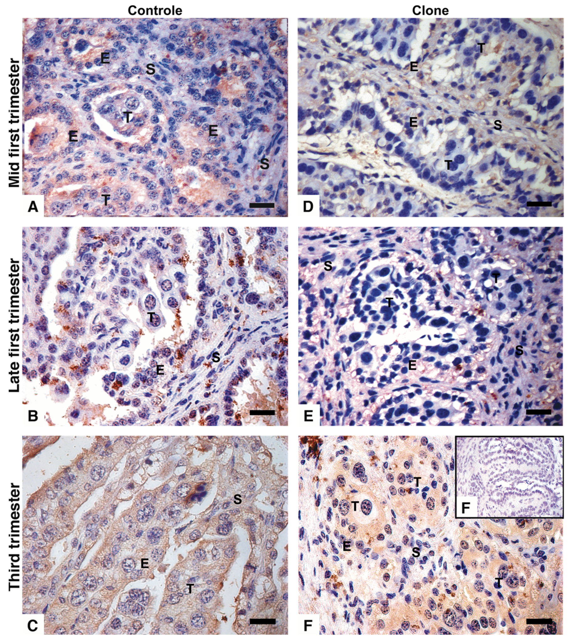 Preprints 149246 g004