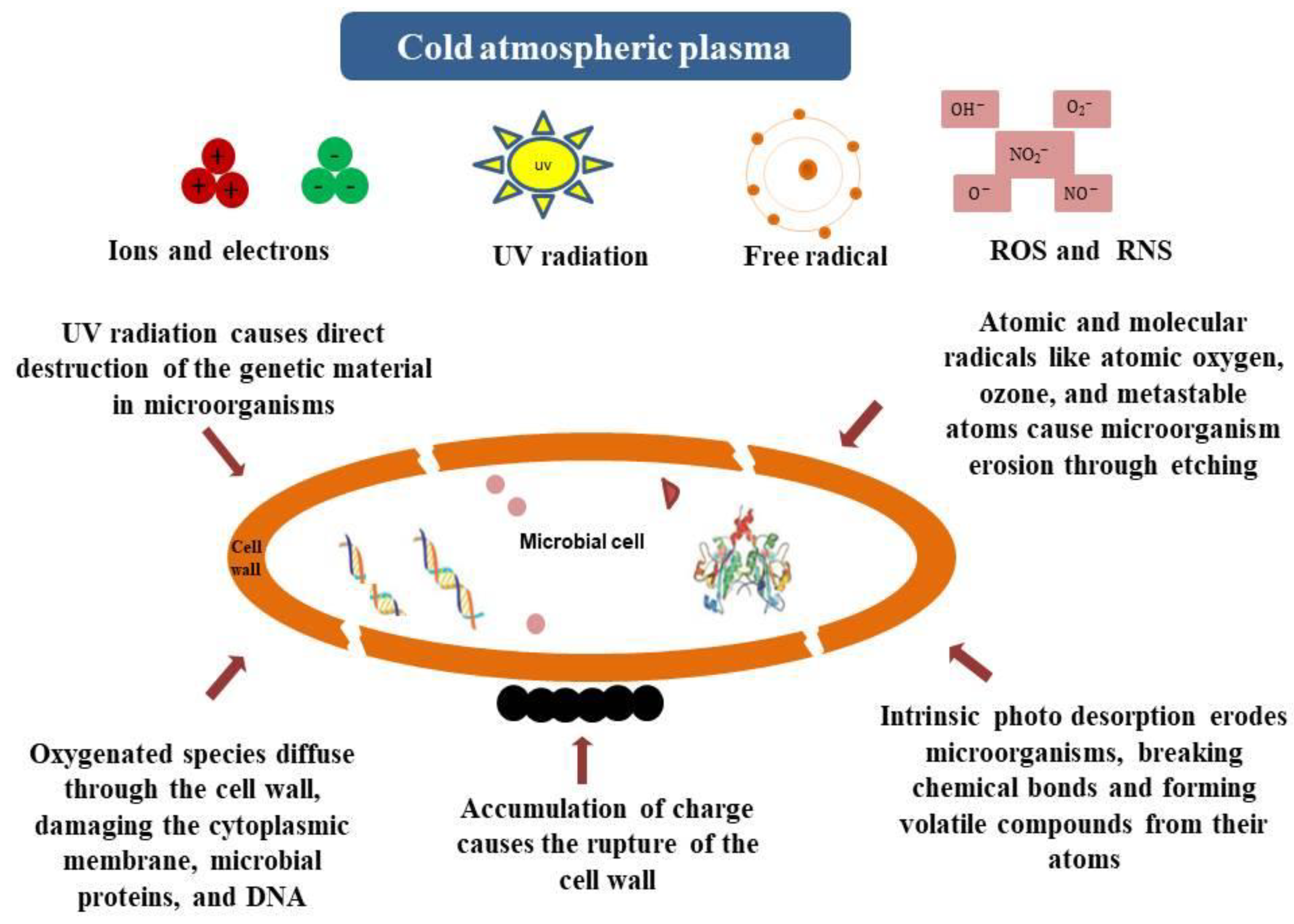 Preprints 163923 g001