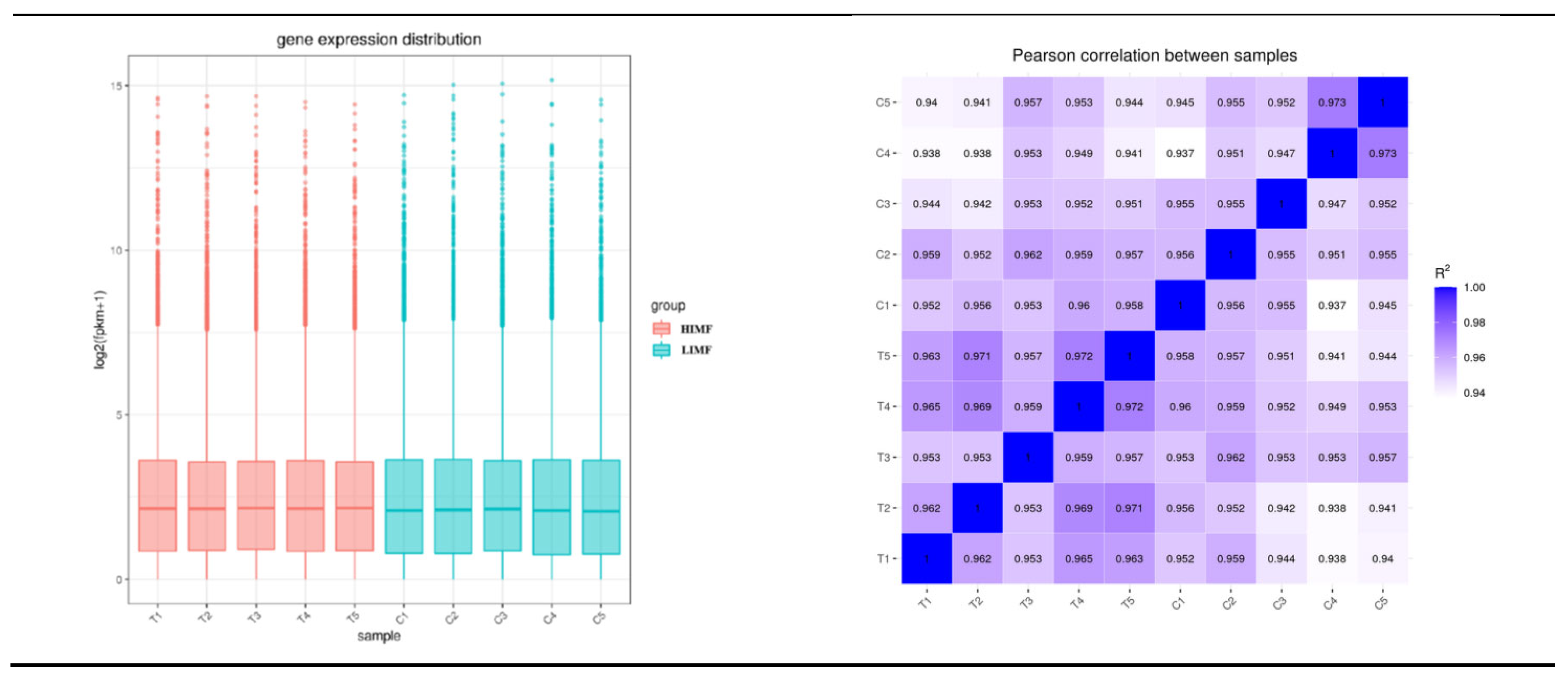 Preprints 115334 g002b