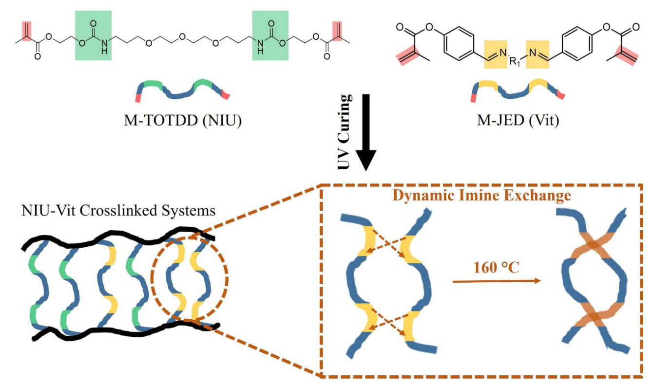Preprints 226176 g001