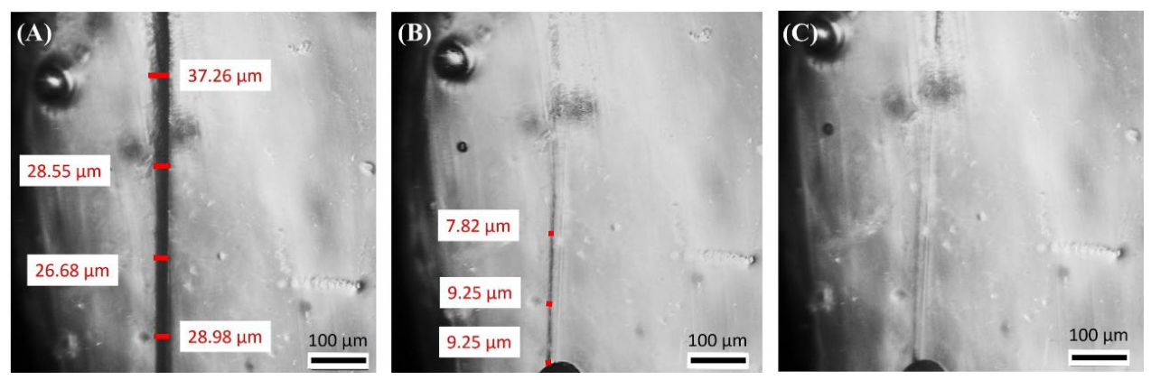 Preprints 226176 g005