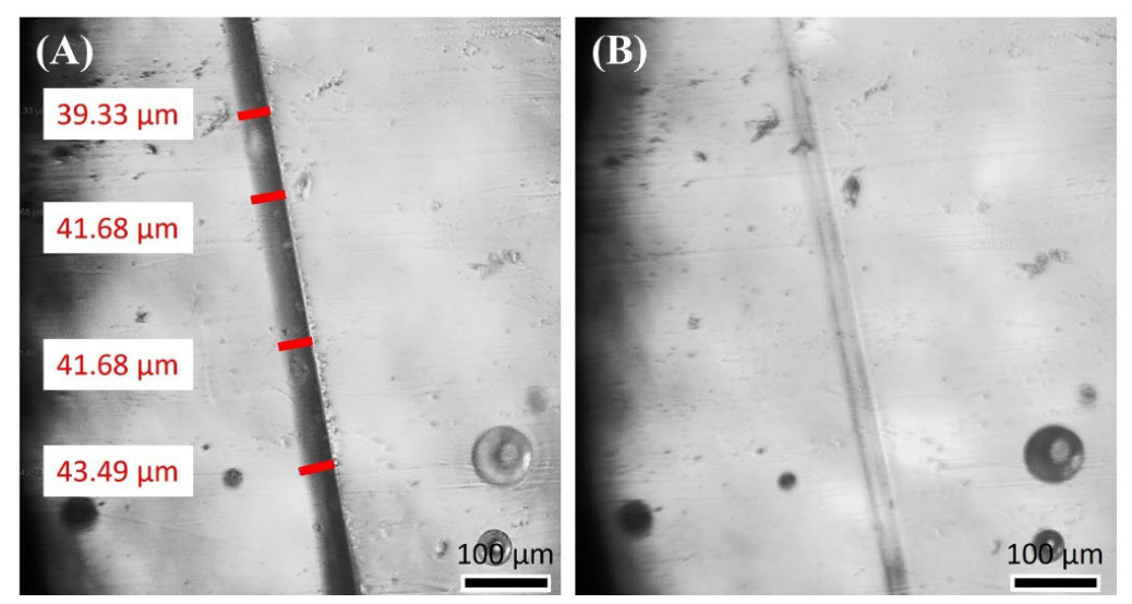 Preprints 226176 g006