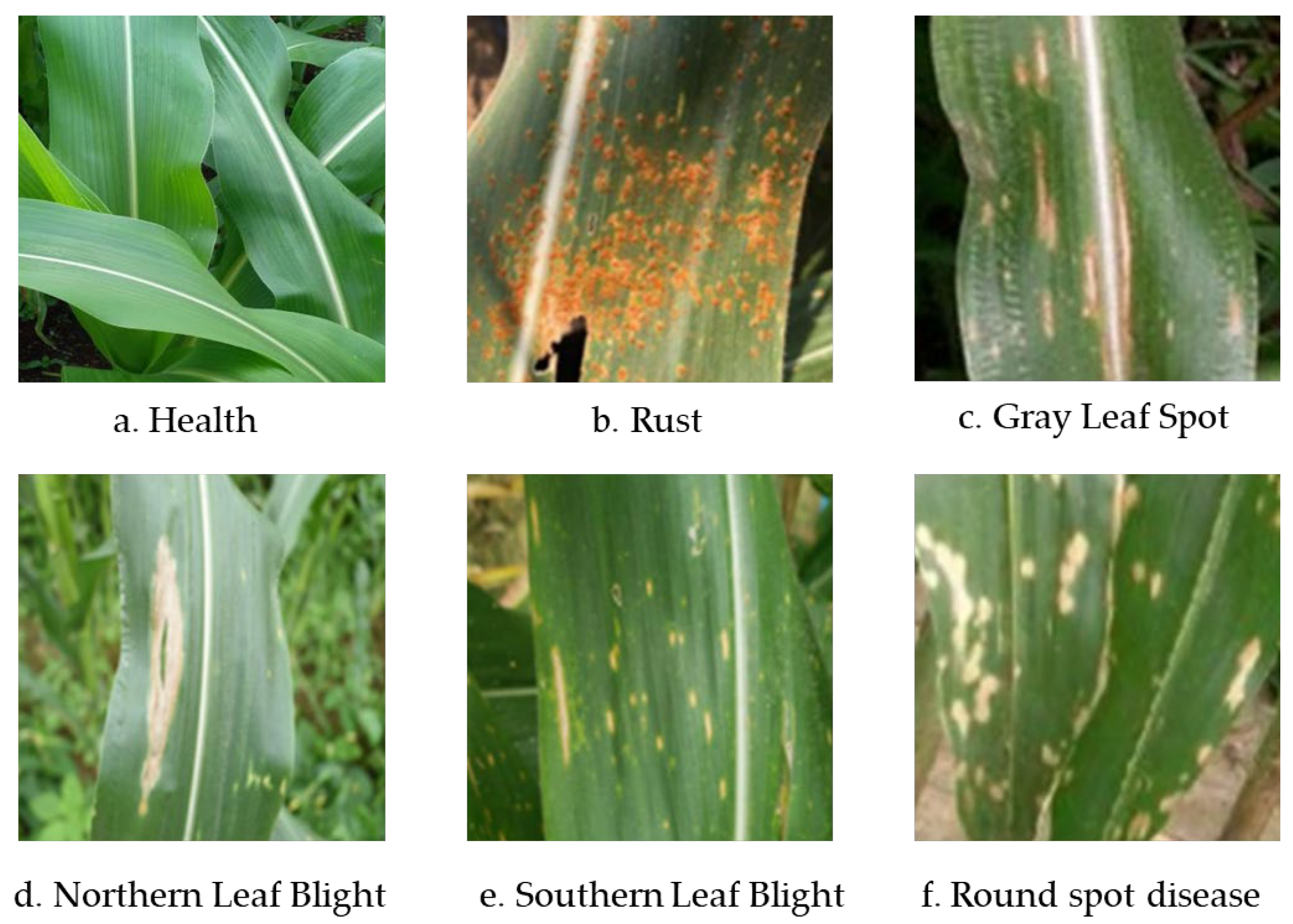 Preprints 152632 g001