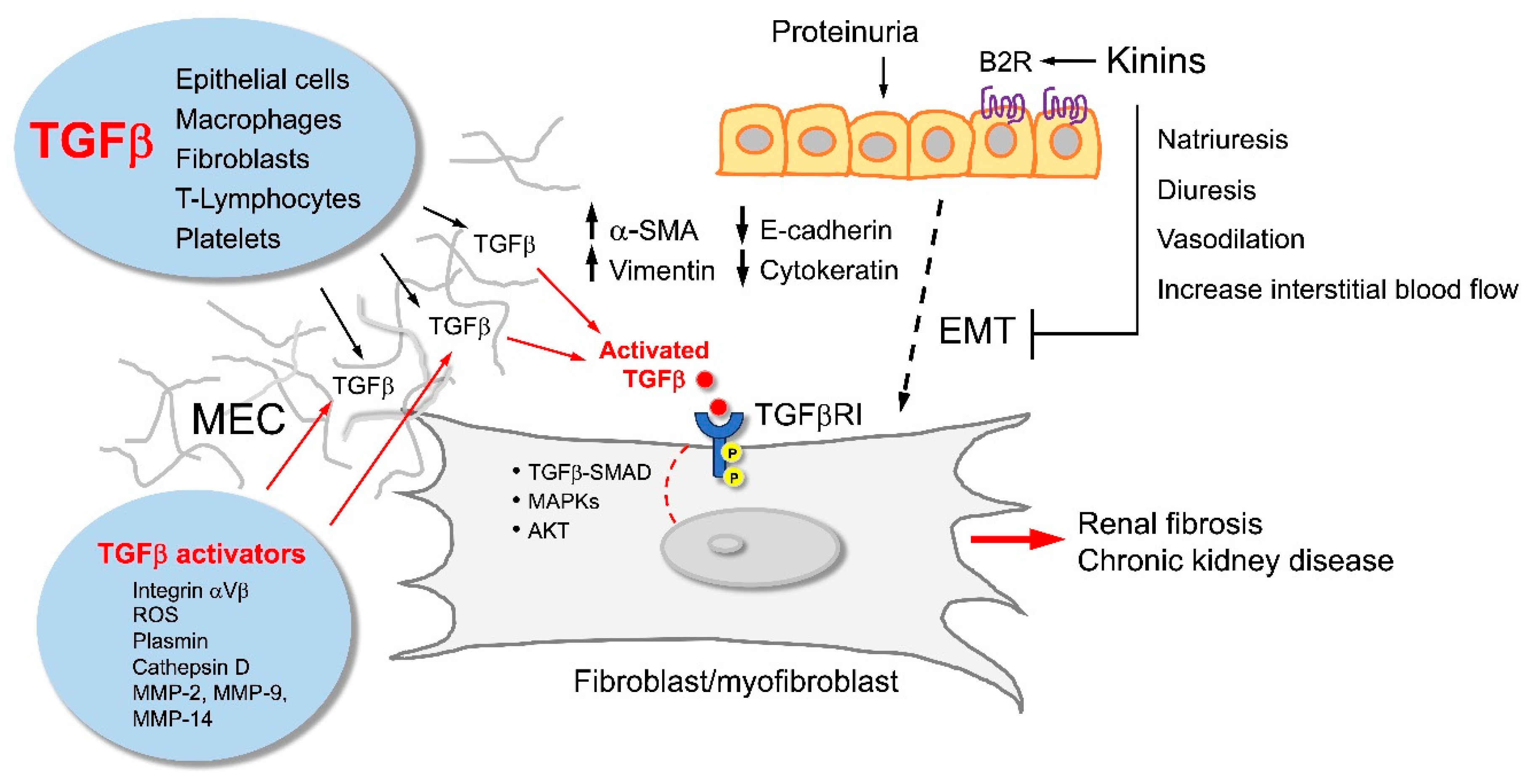 Preprints 185548 g003