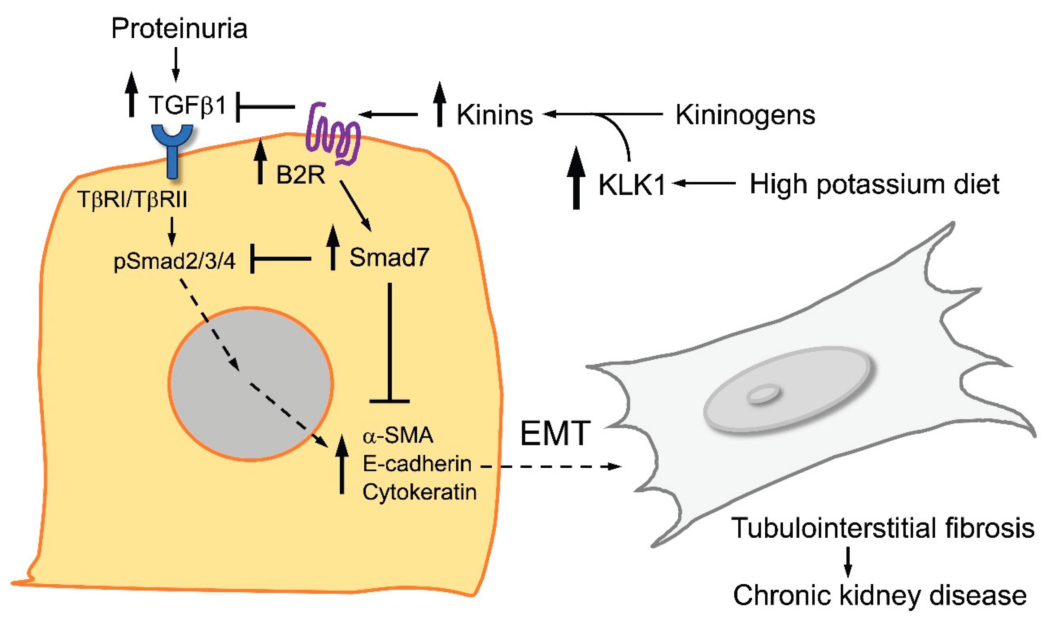Preprints 185548 g004