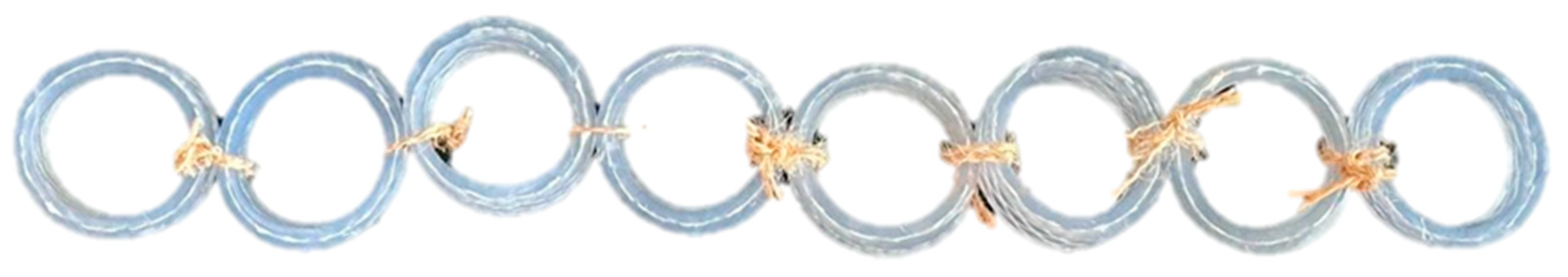 Preprints 142299 g005