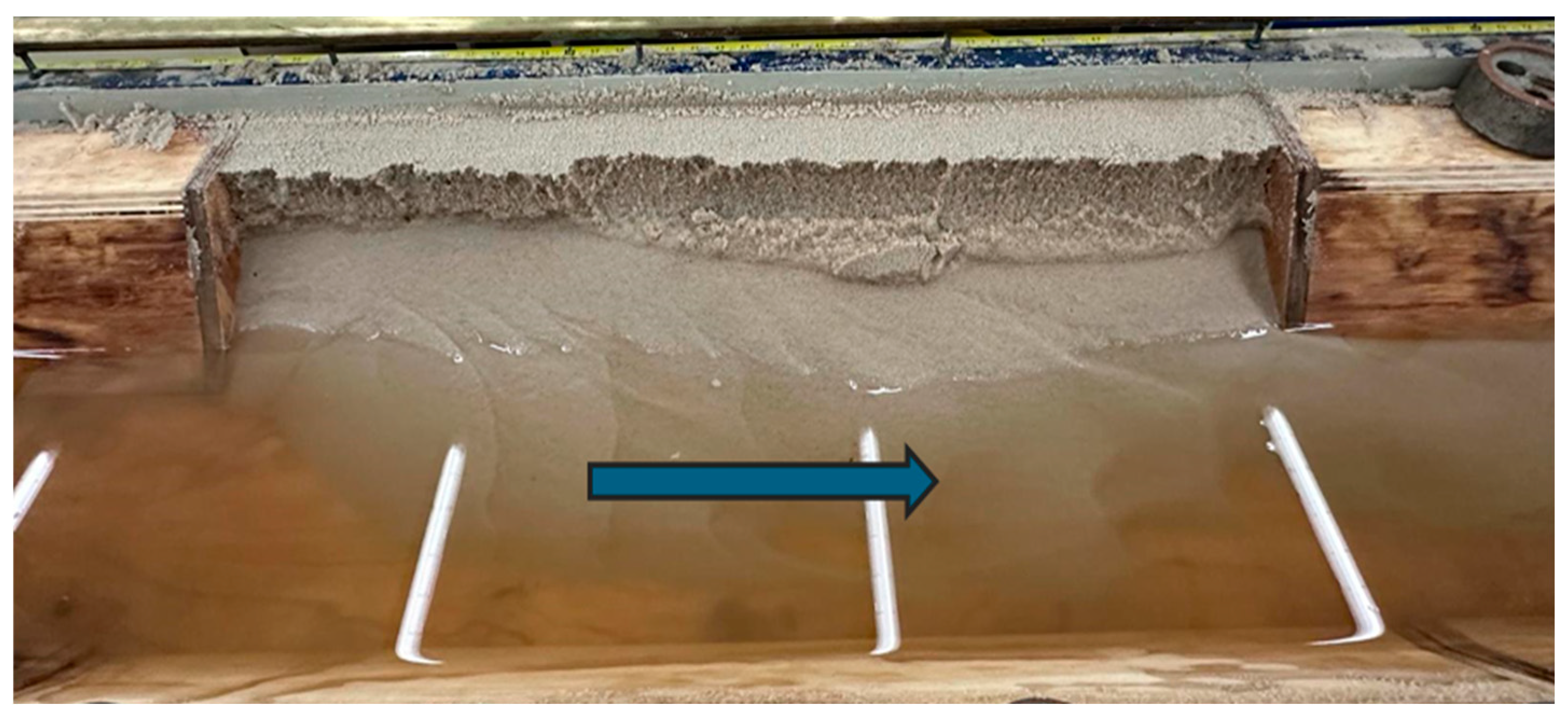 Preprints 142299 g009