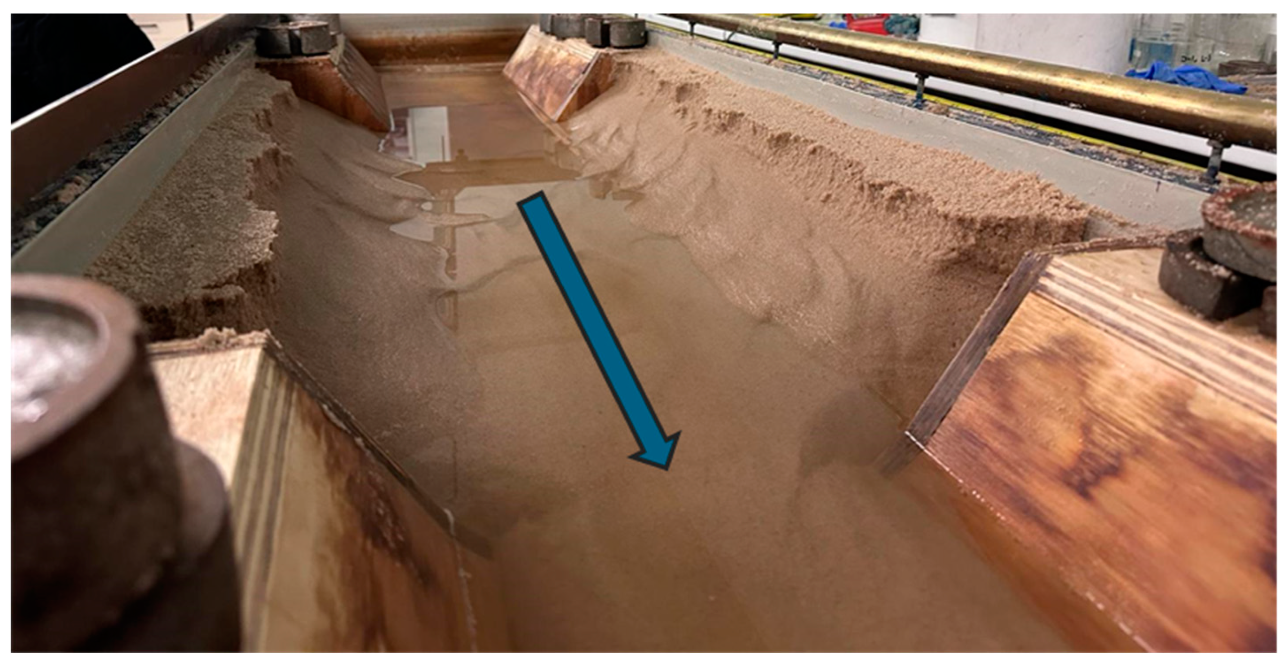 Preprints 142299 g010