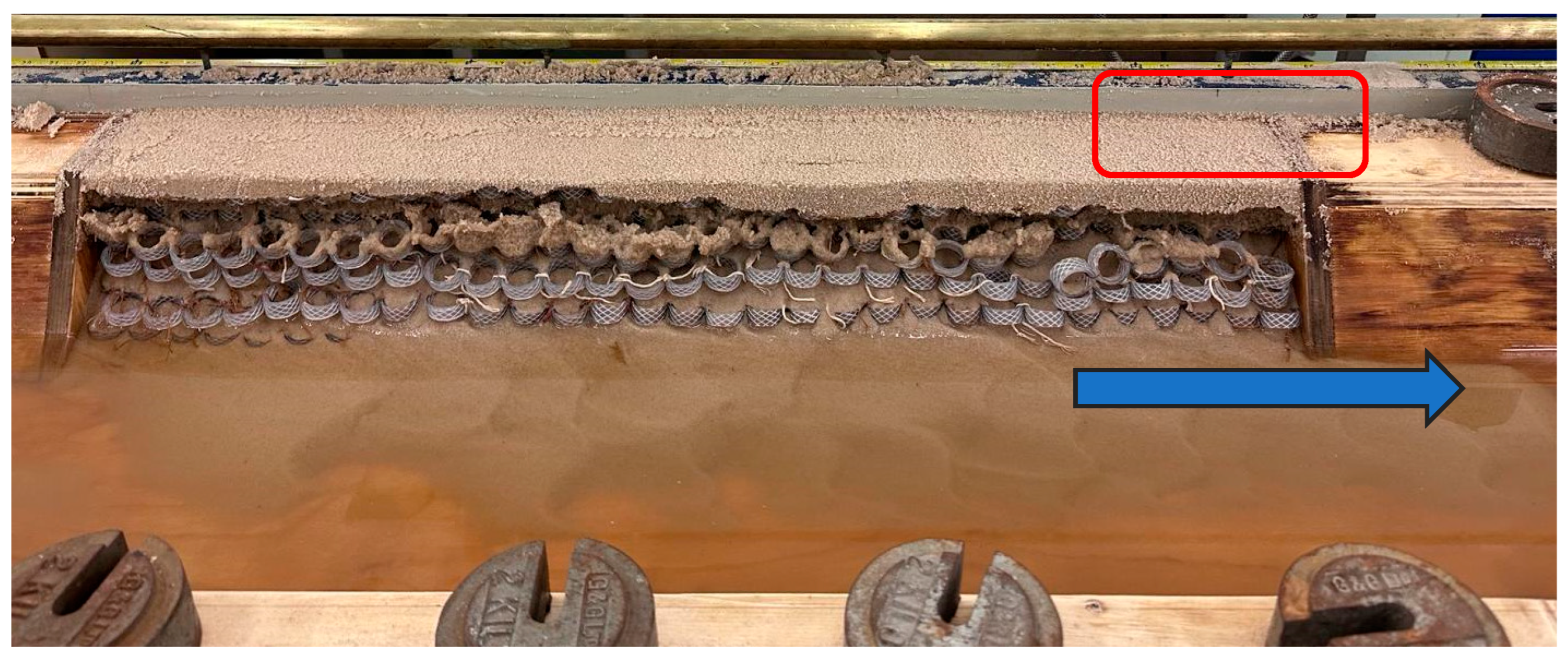 Preprints 142299 g012