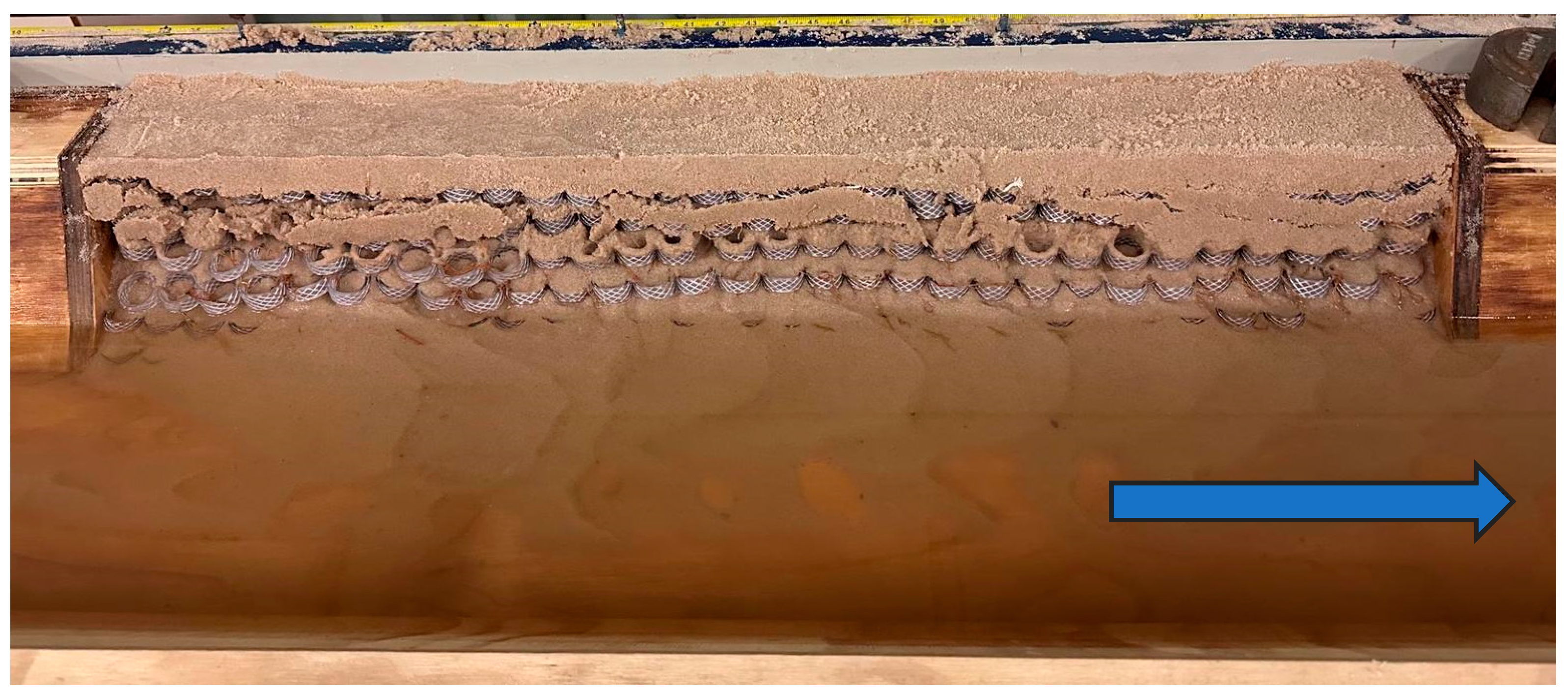 Preprints 142299 g013