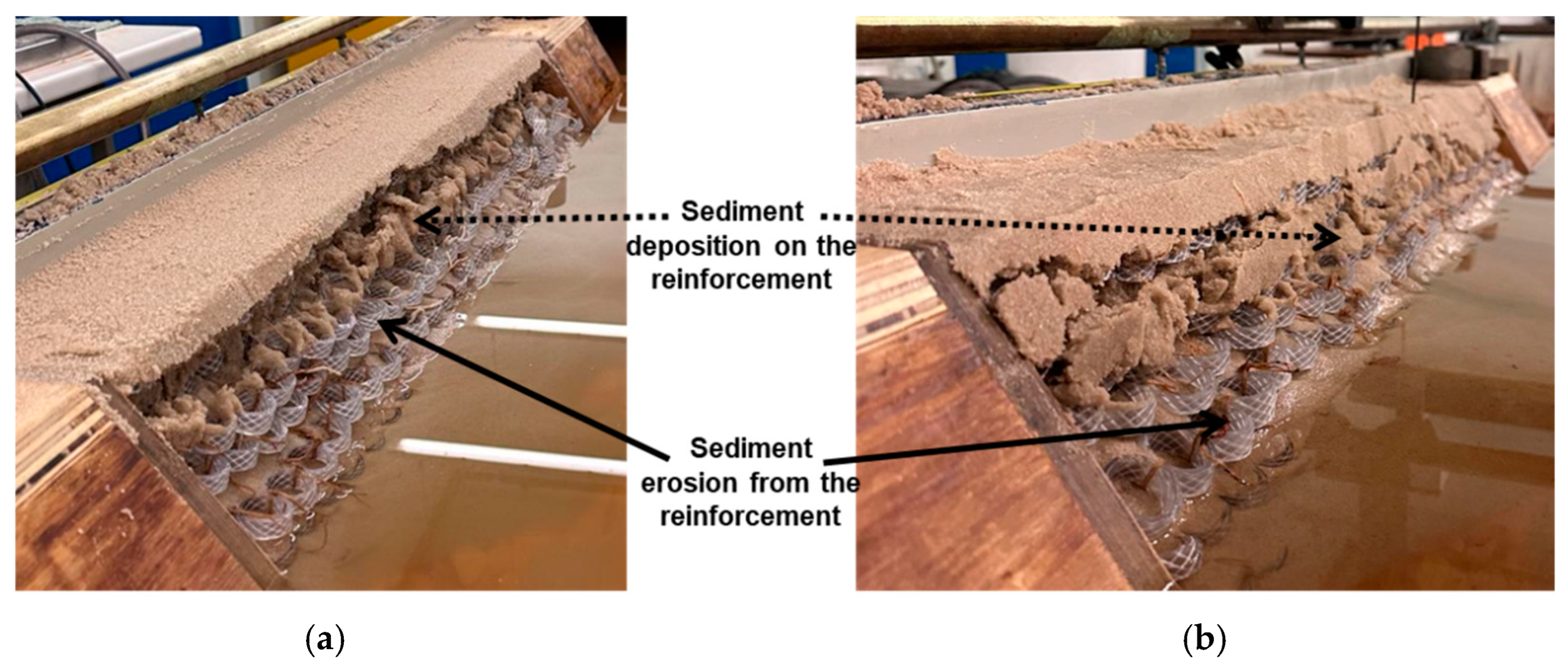 Preprints 142299 g014
