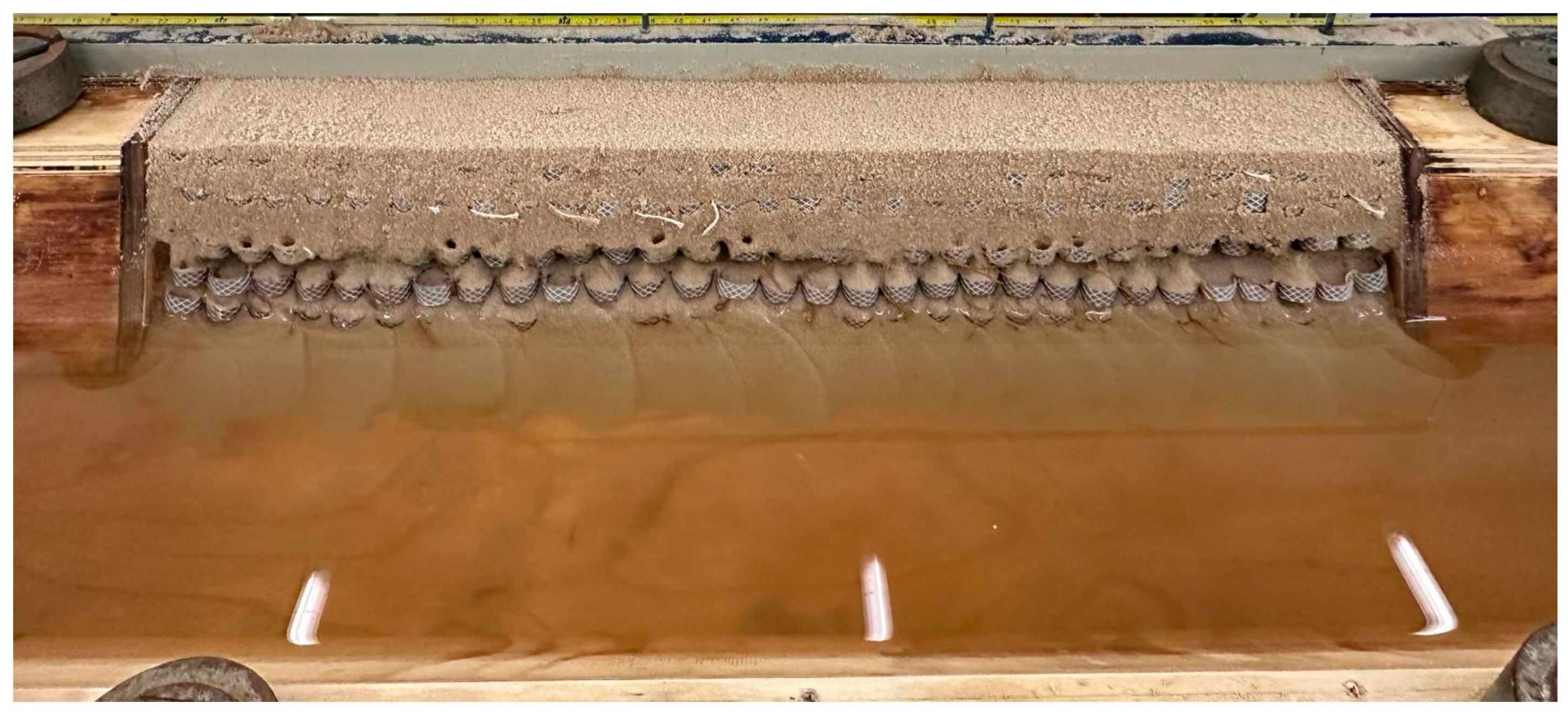 Preprints 142299 g0a4