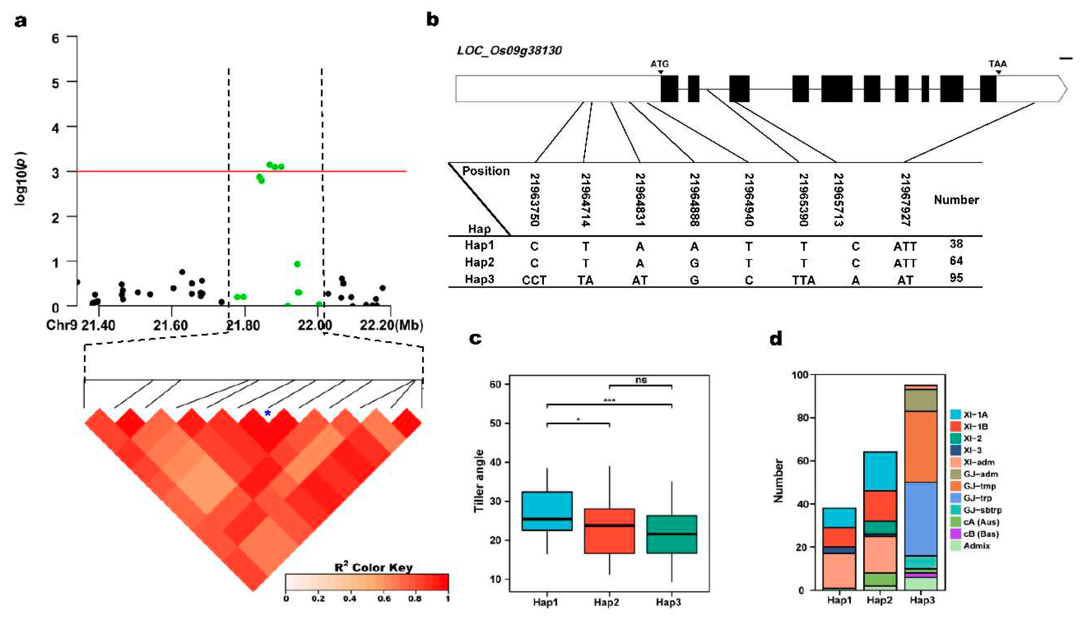 Preprints 68862 g006