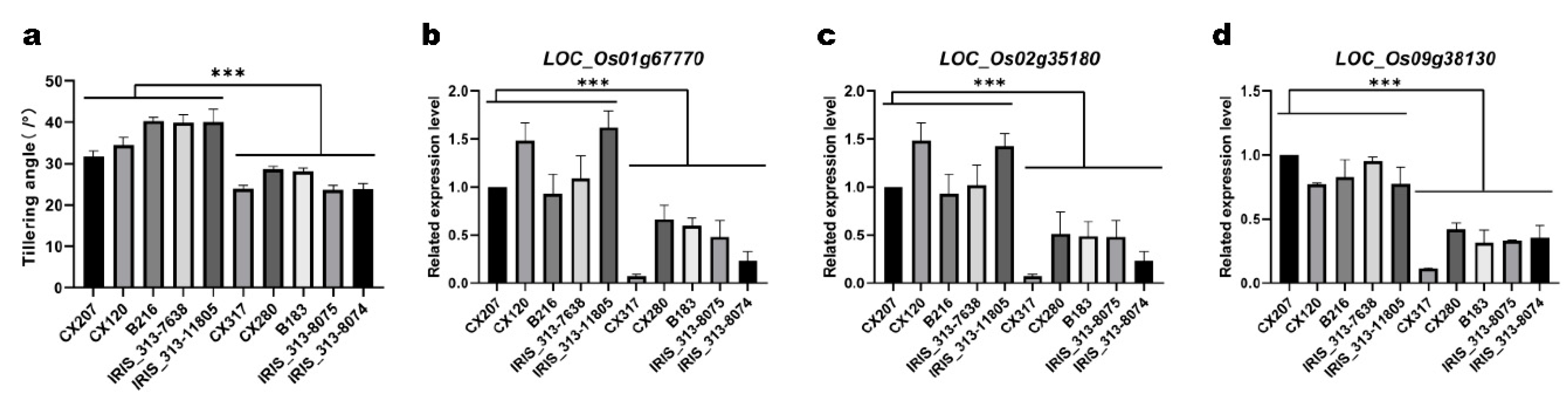 Preprints 68862 g007