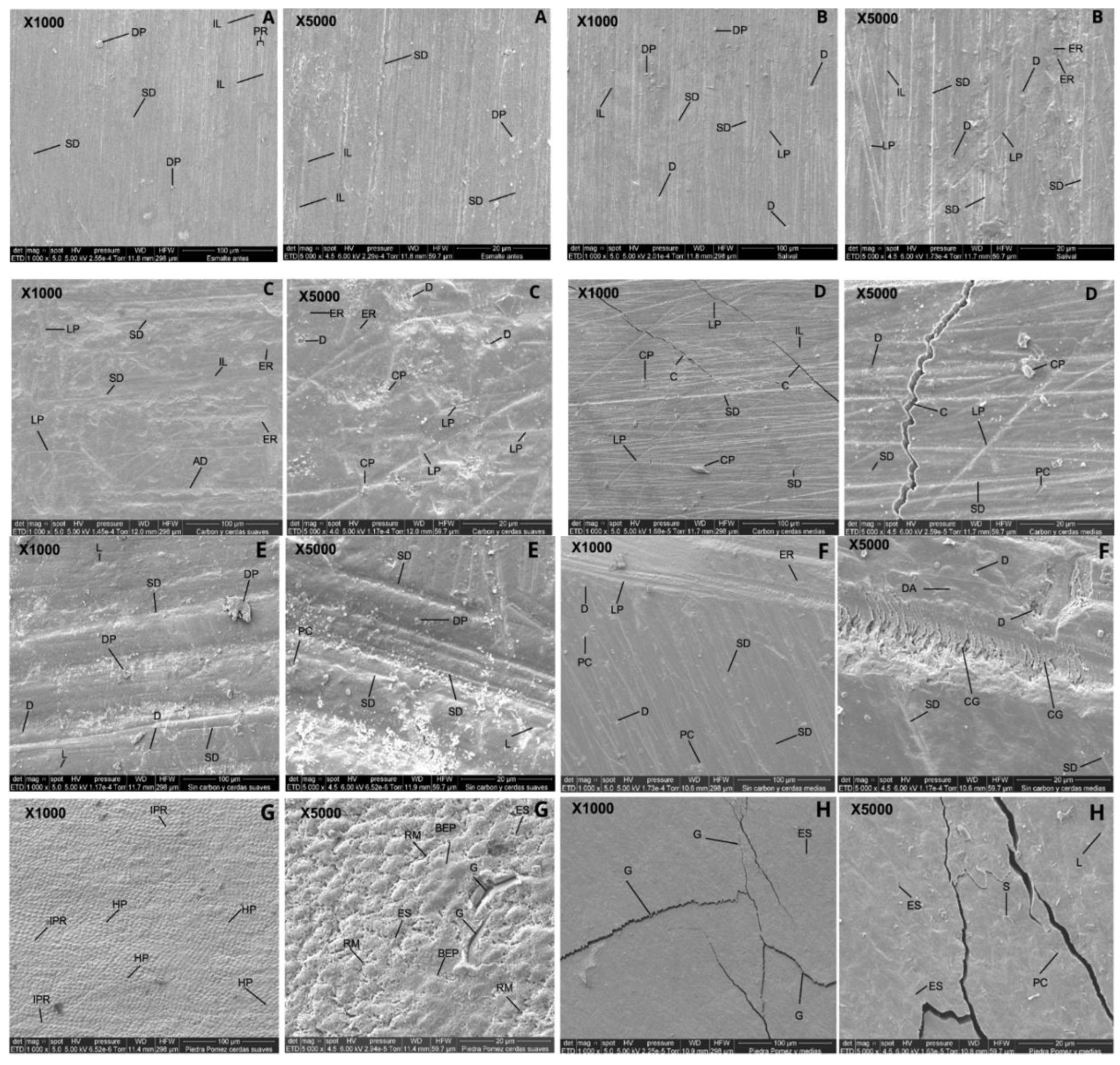 Preprints 163032 g002
