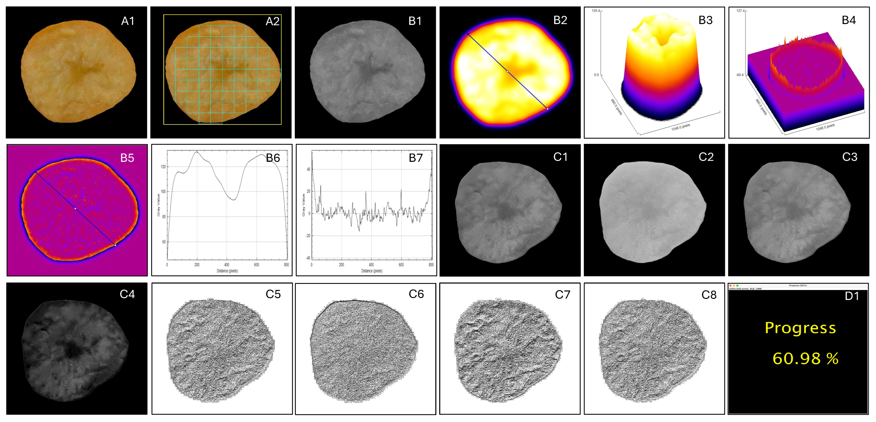 Preprints 181684 g005