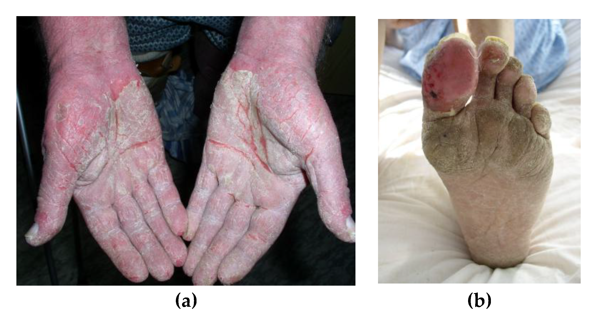 Preprints 148300 g001a