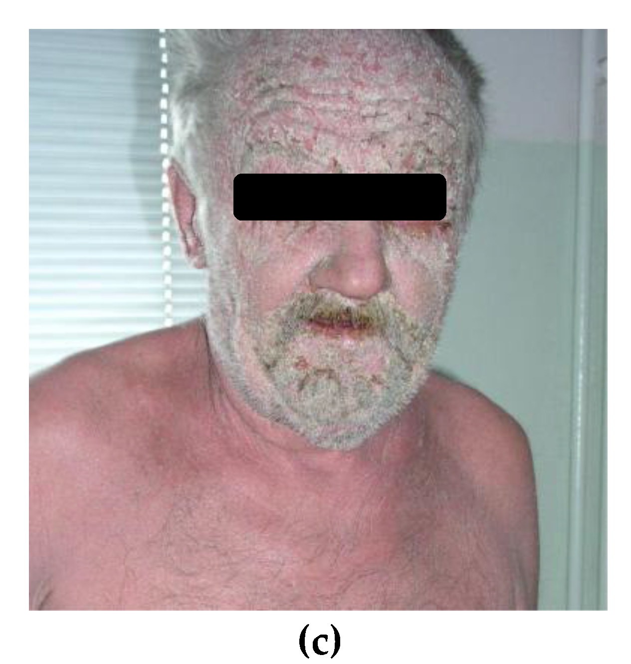 Preprints 148300 g001b