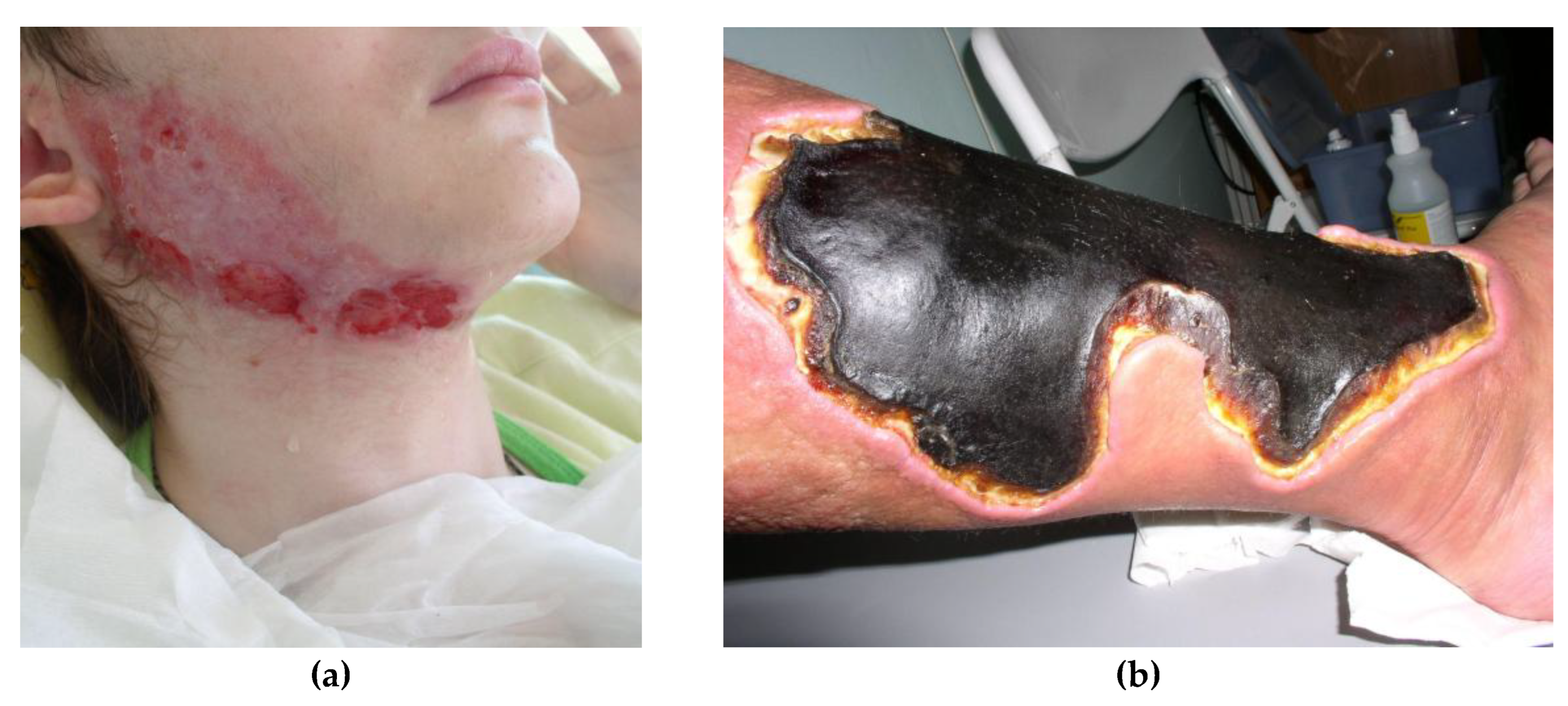 Preprints 148300 g002