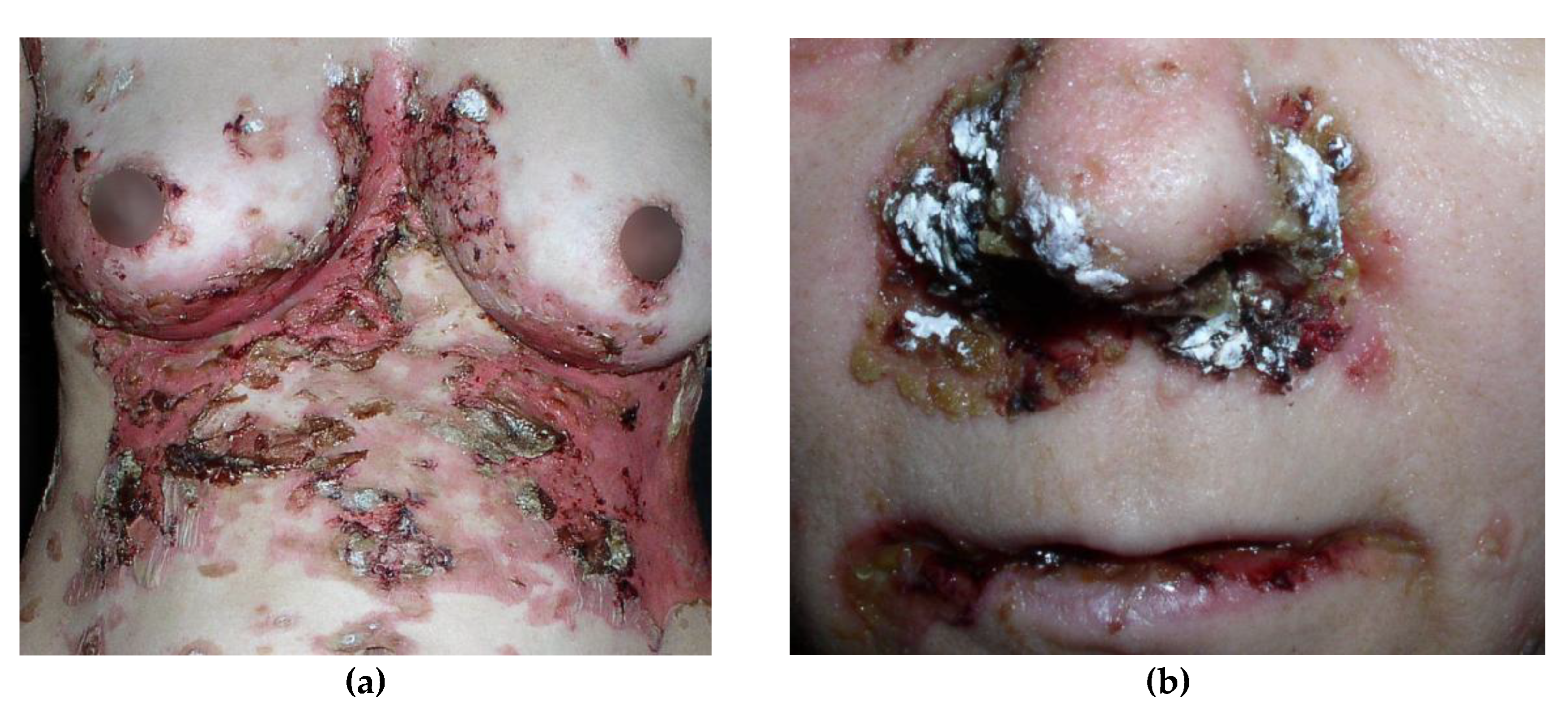 Preprints 148300 g003