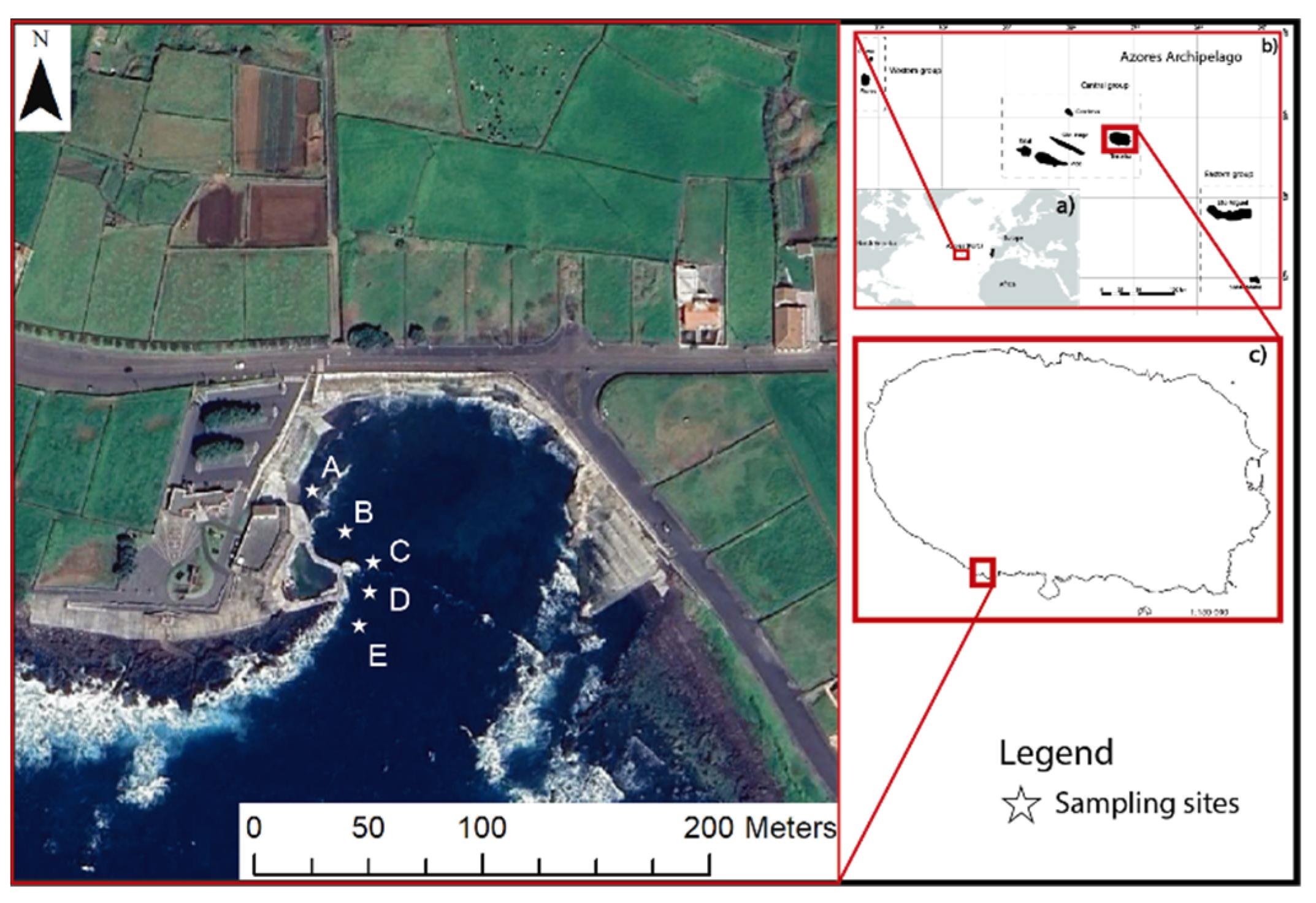 Preprints 163719 g001
