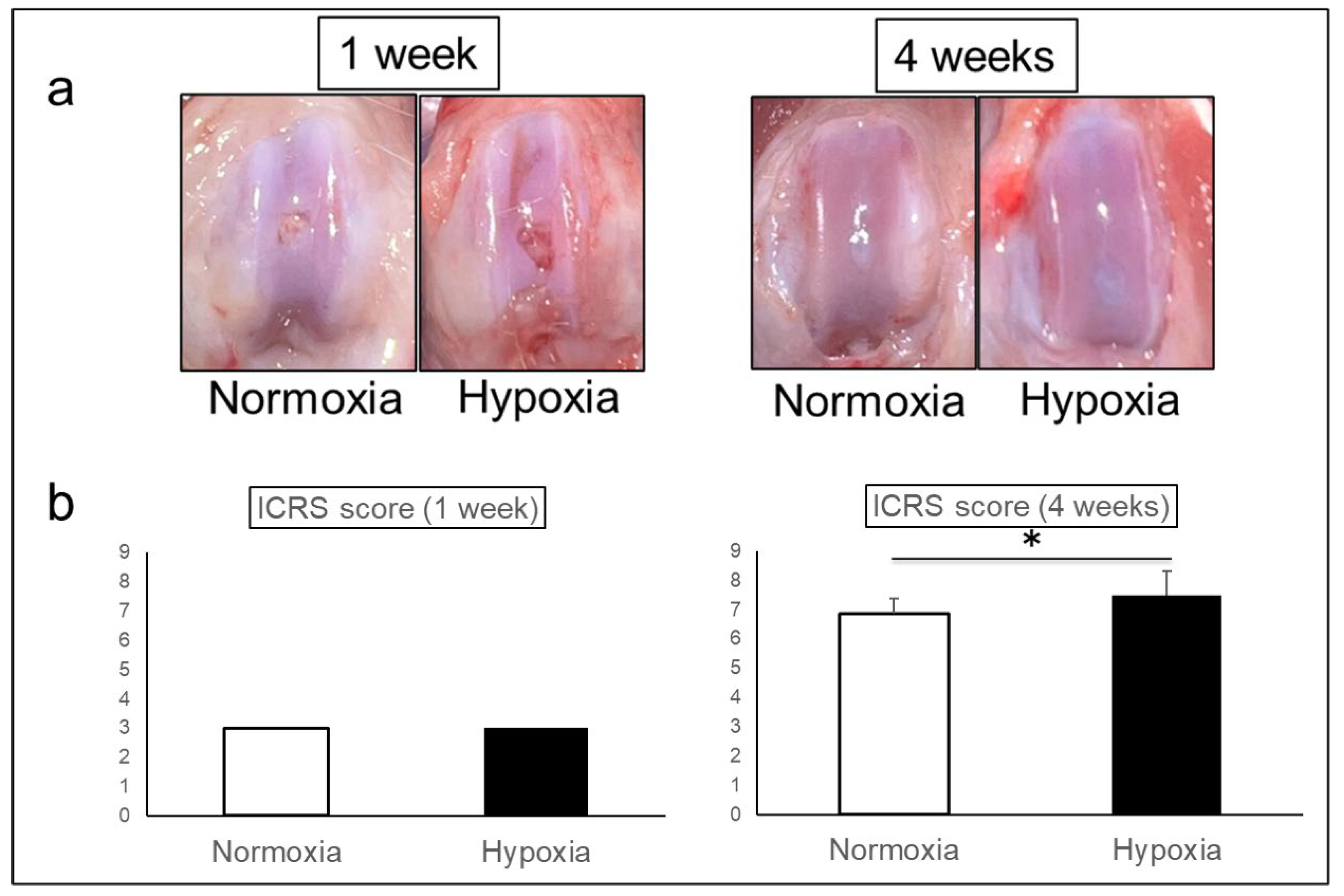 Preprints 156686 g002