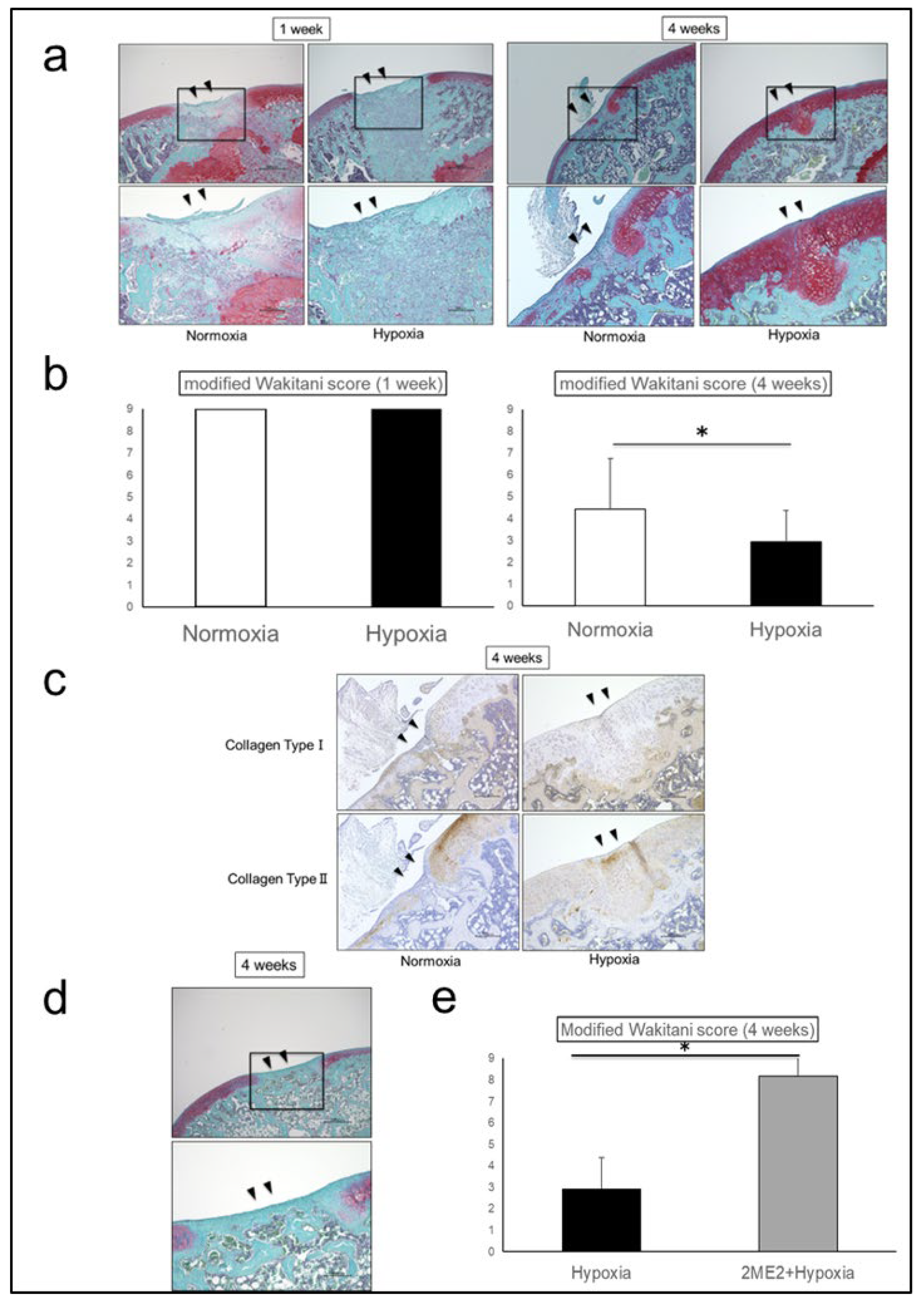 Preprints 156686 g003