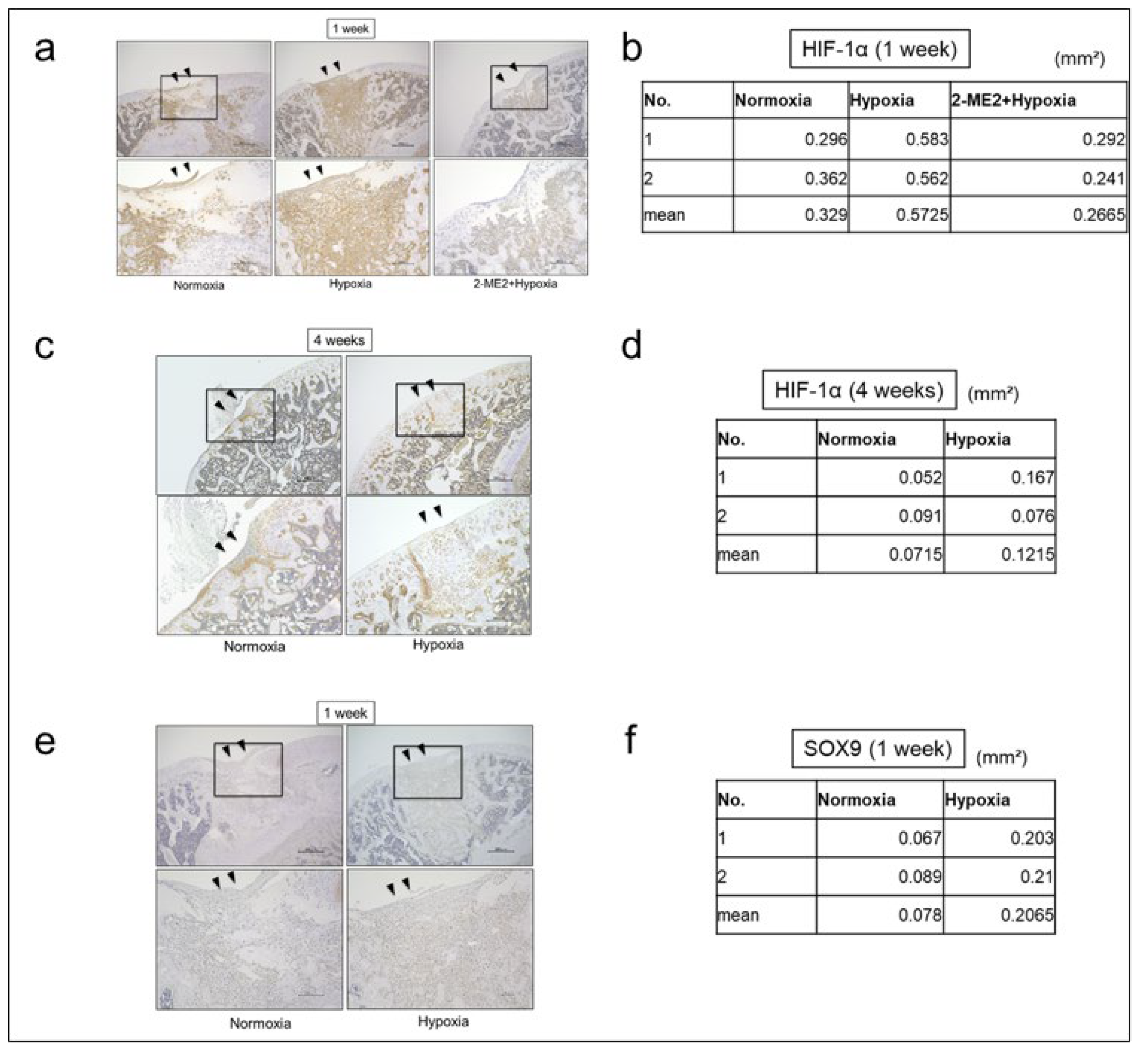 Preprints 156686 g004