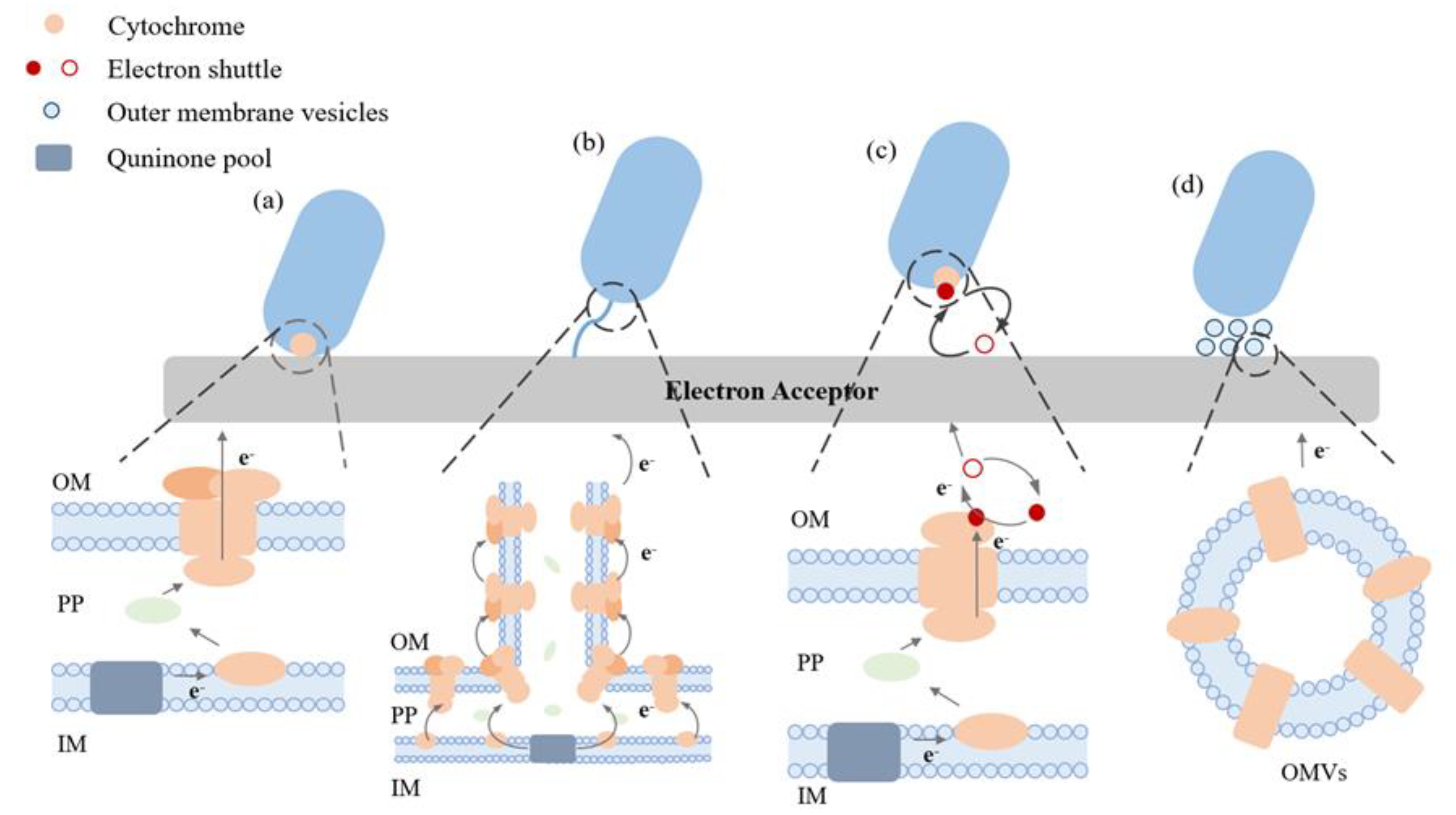 Preprints 76662 g001
