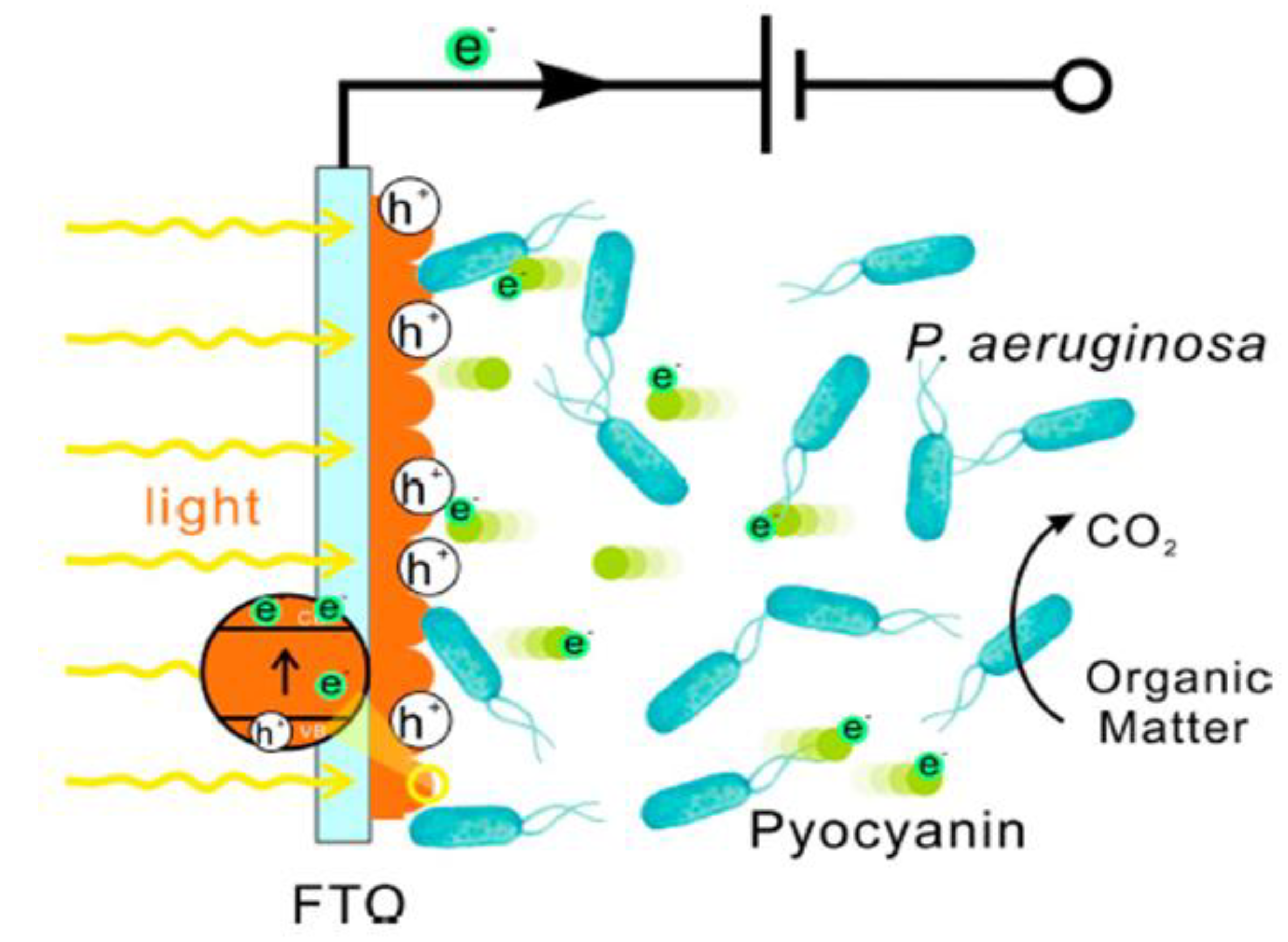 Preprints 76662 g004