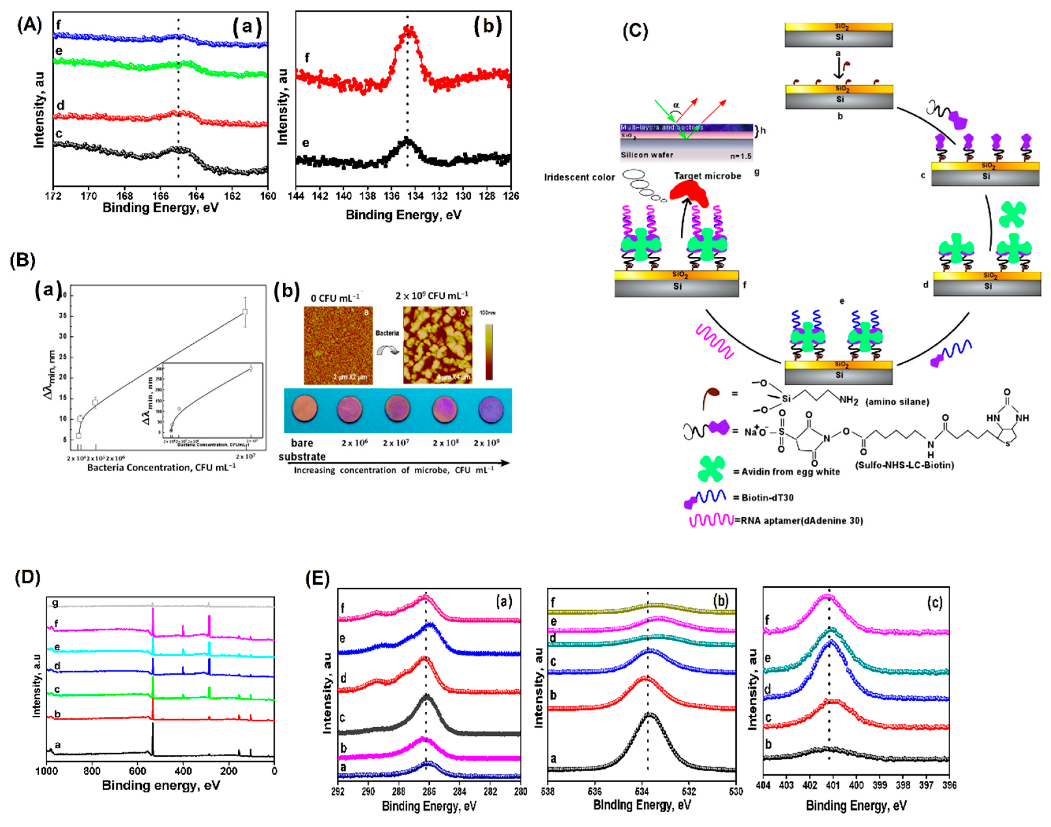 Preprints 162004 g008