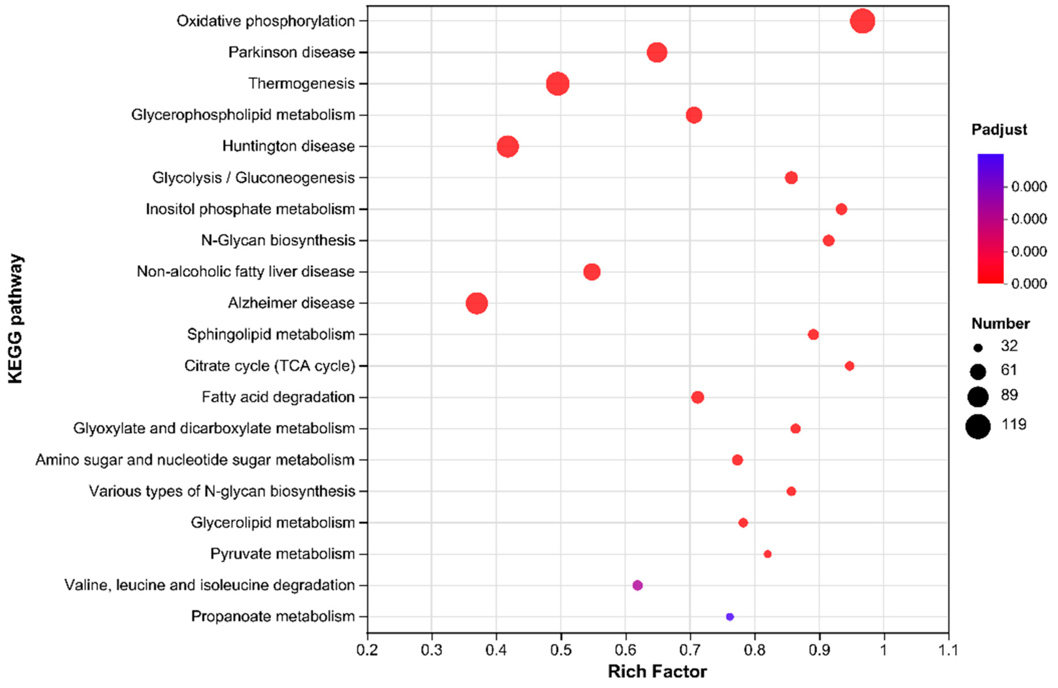 Preprints 149589 g008