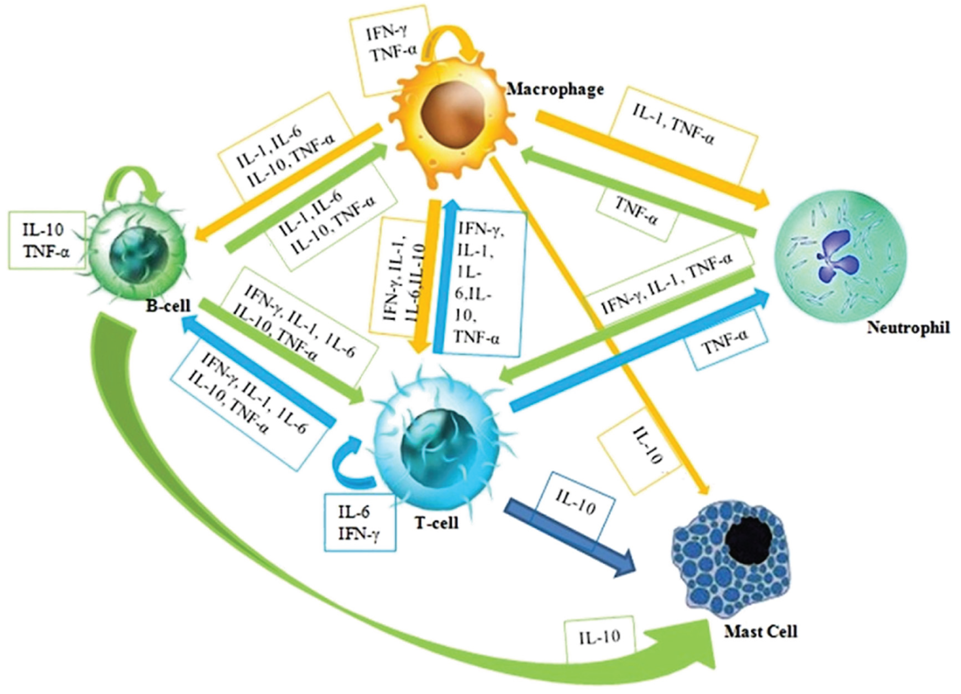 Preprints 165997 g001