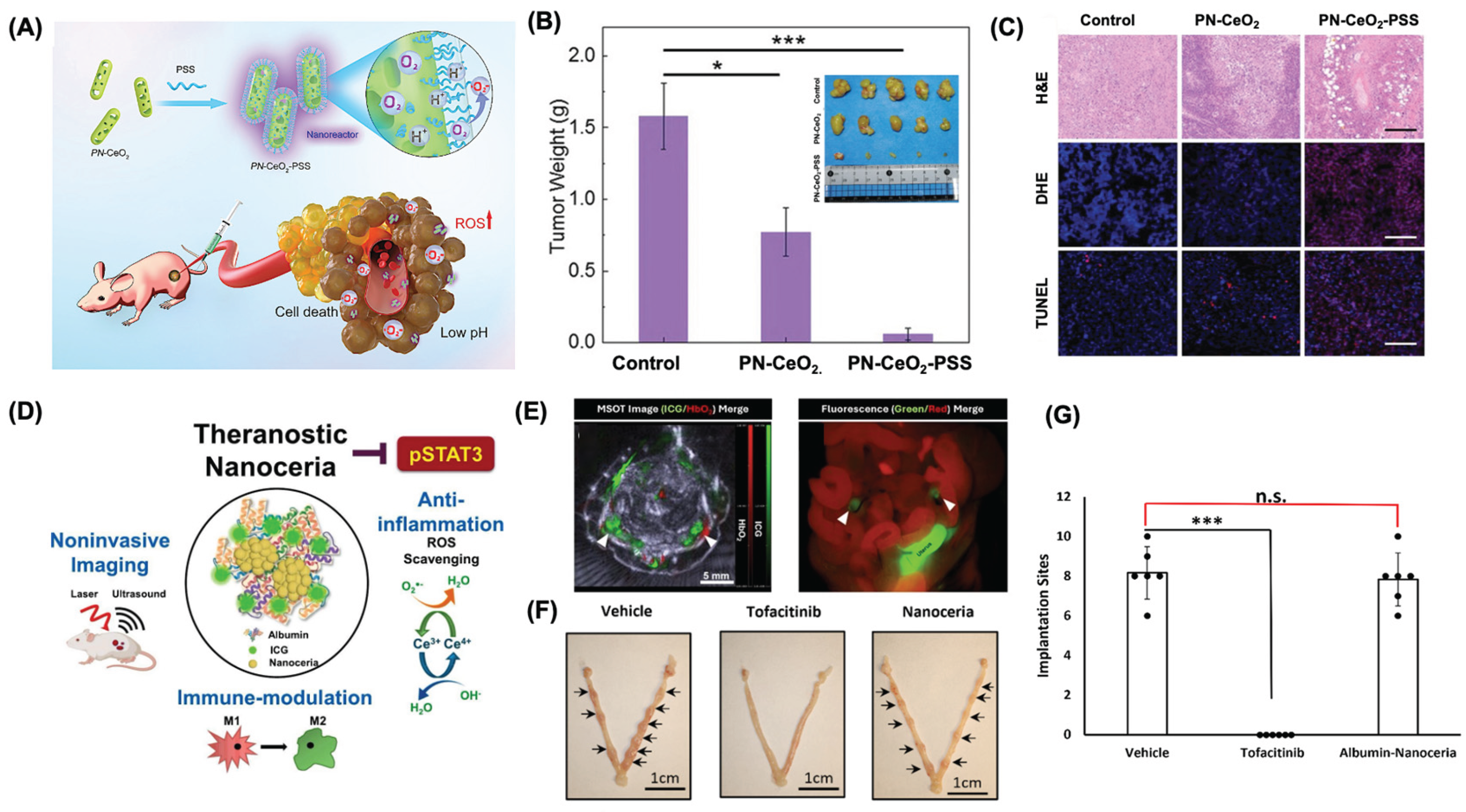 Preprints 165997 g005
