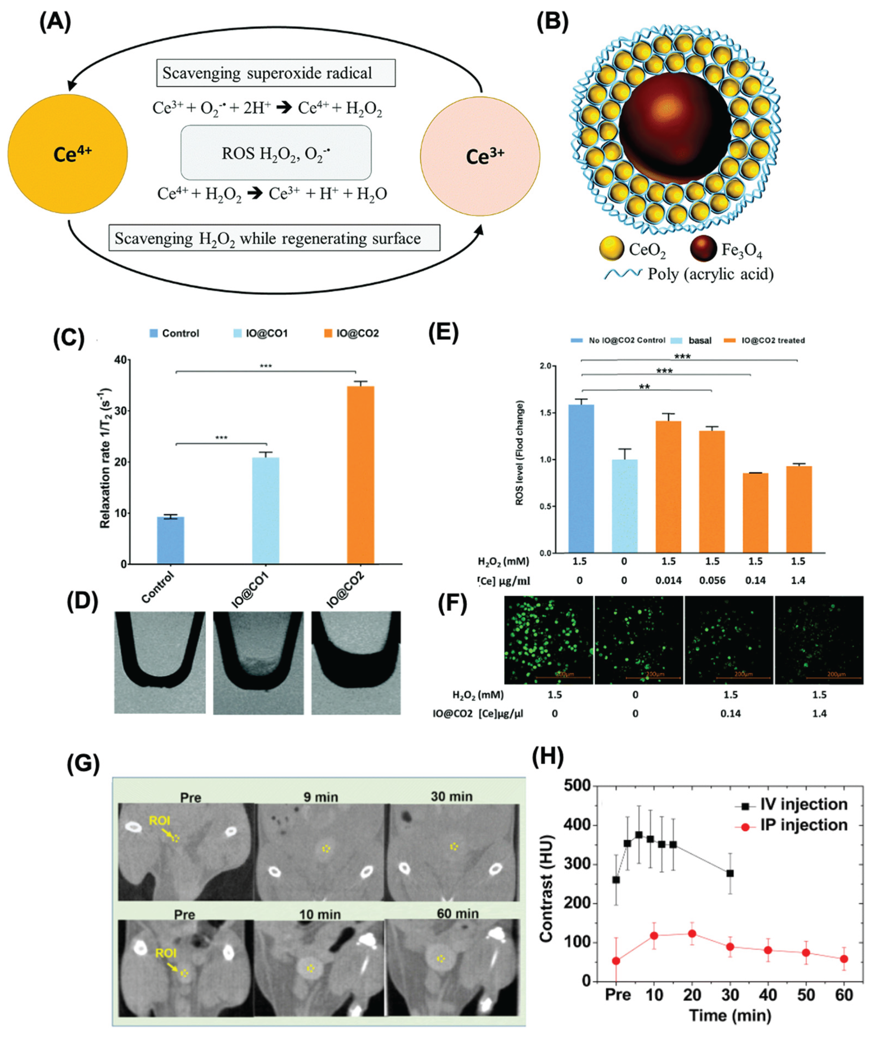 Preprints 165997 g006