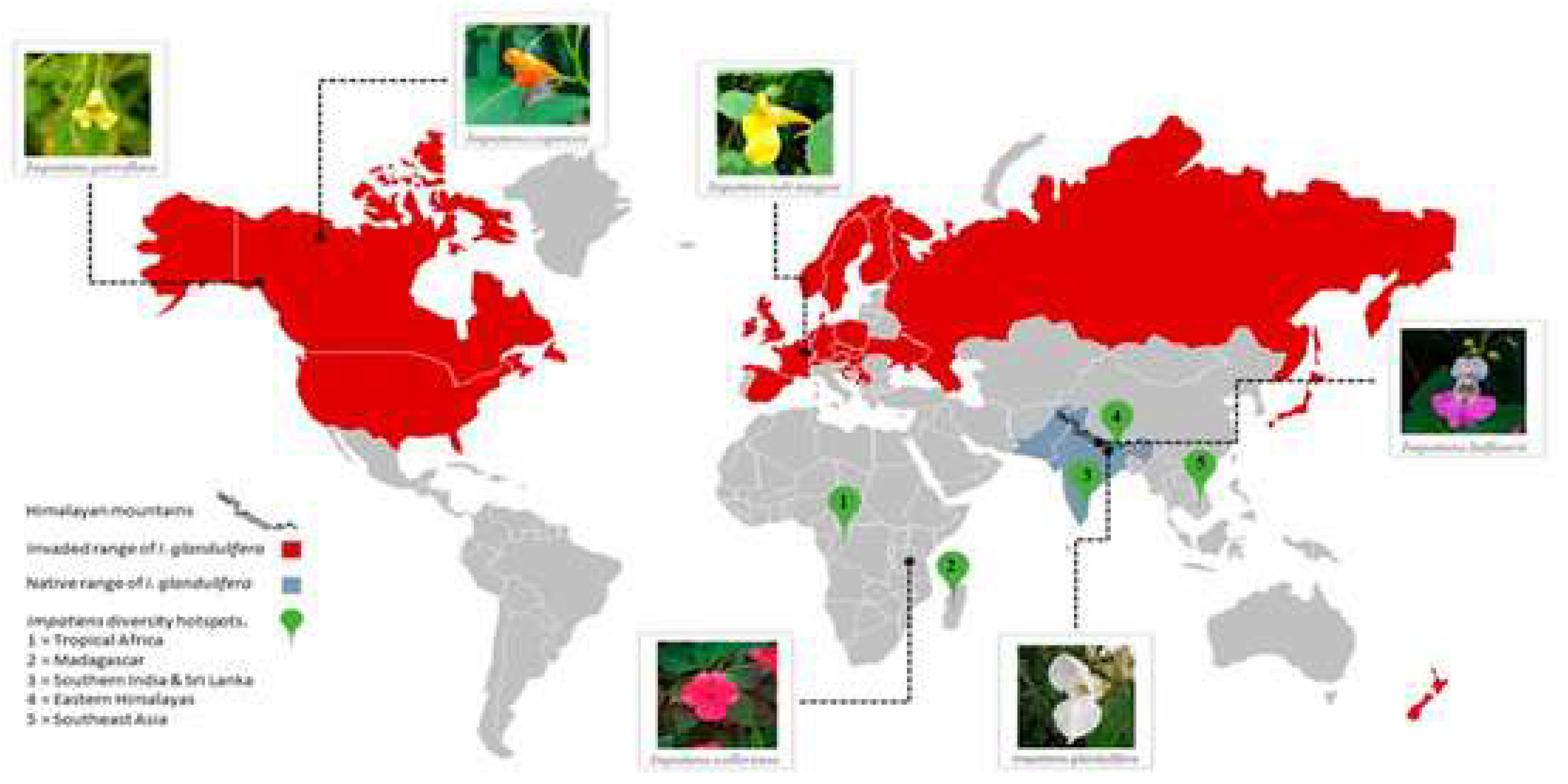 Preprints 150636 g003