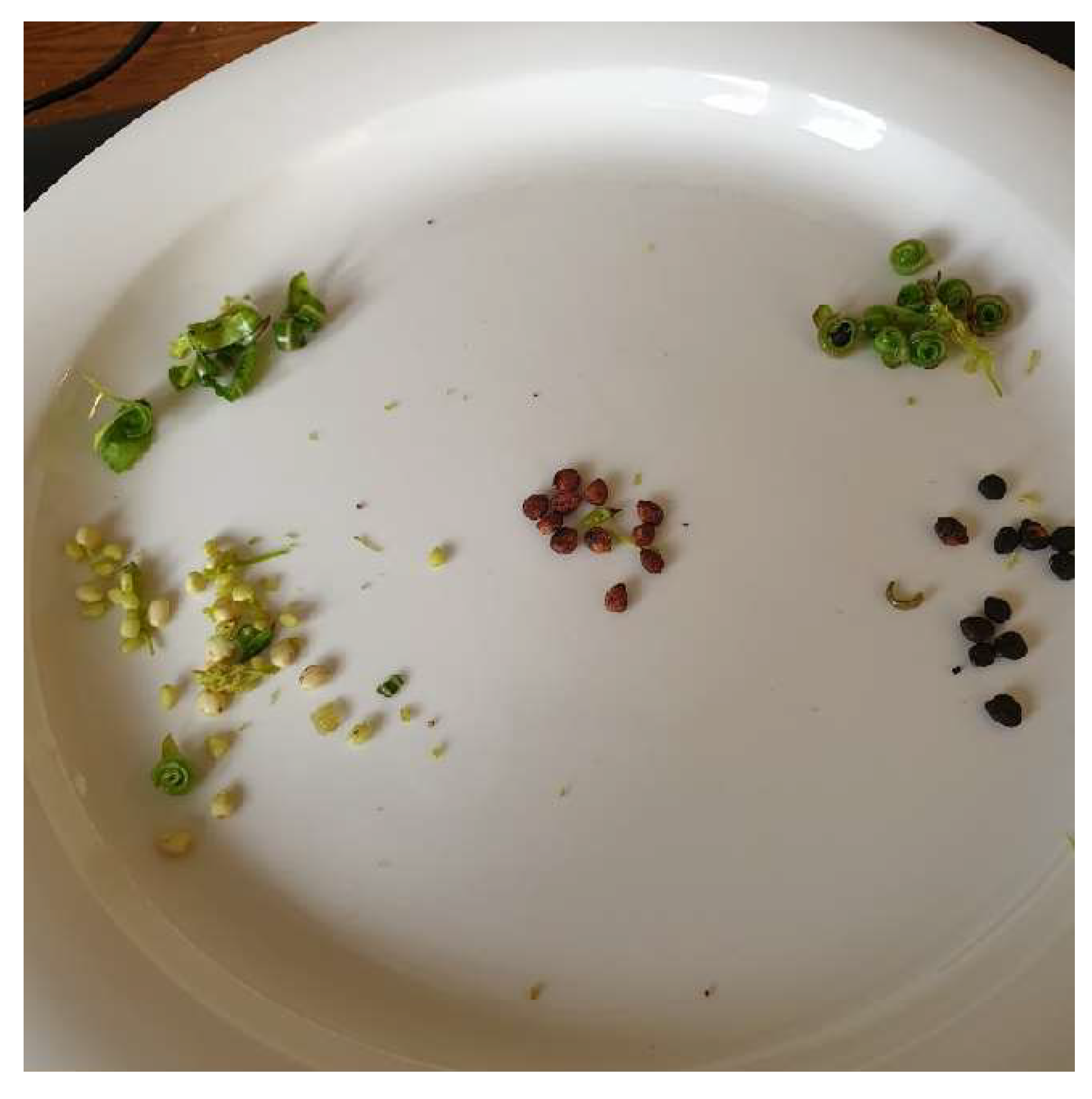 Preprints 150636 g005