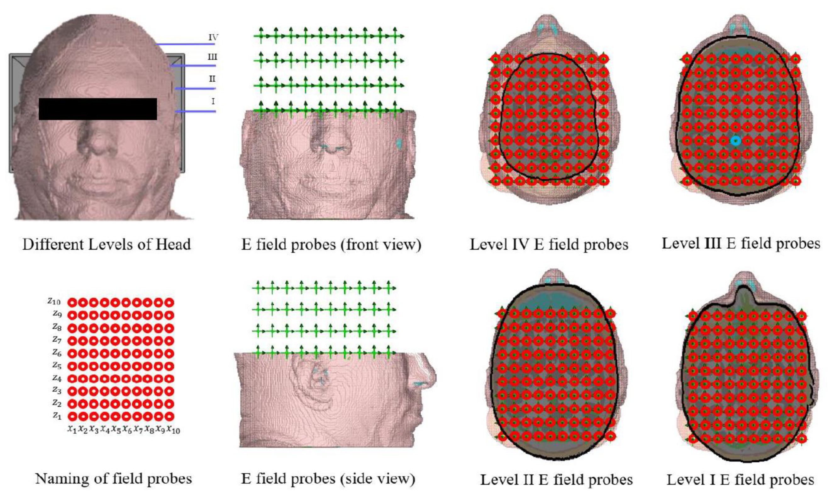 Preprints 161127 g005