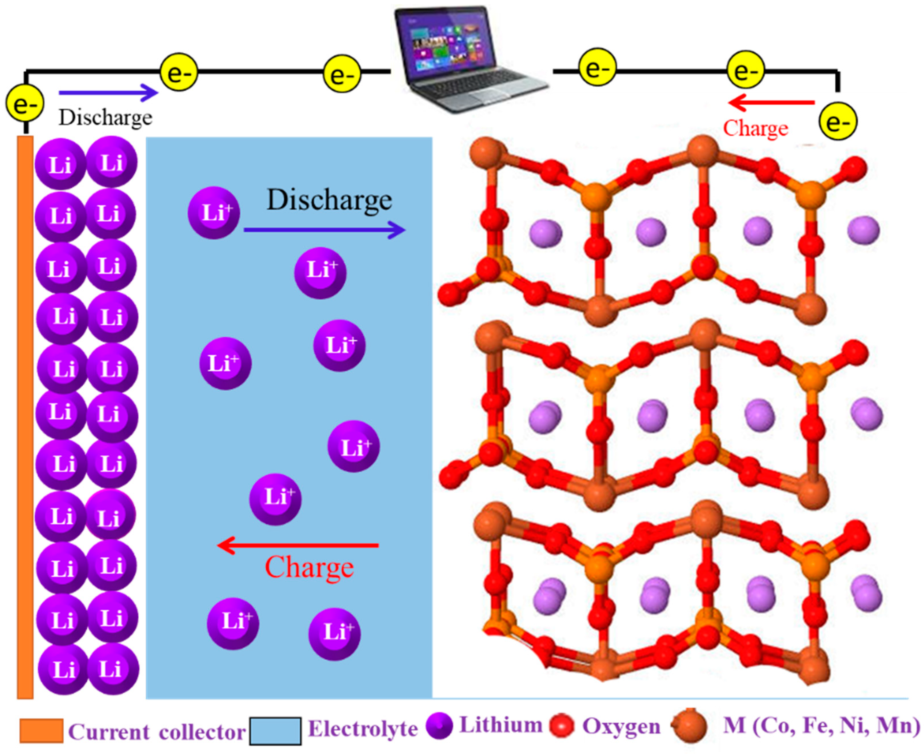 Preprints 92007 g003