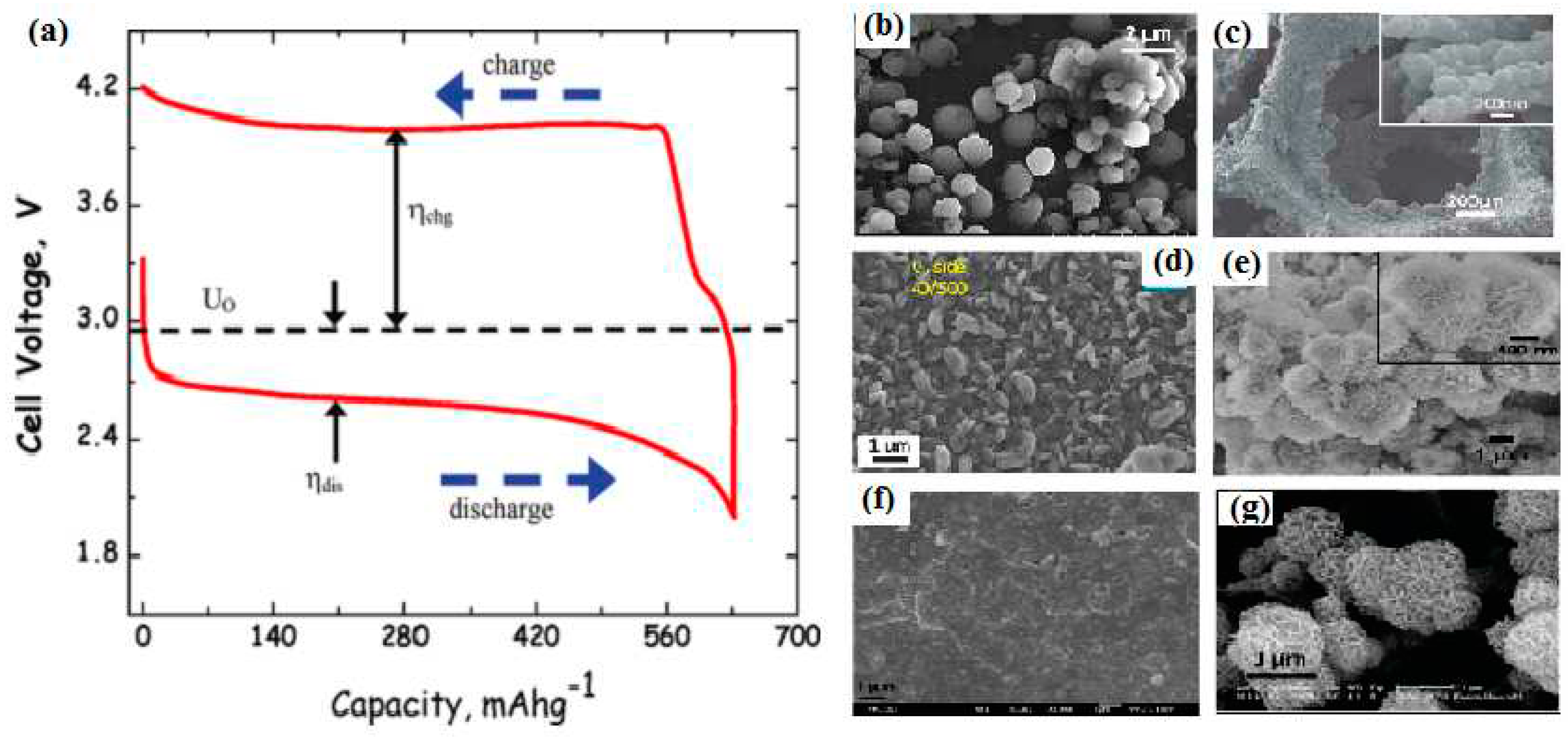 Preprints 92007 g007