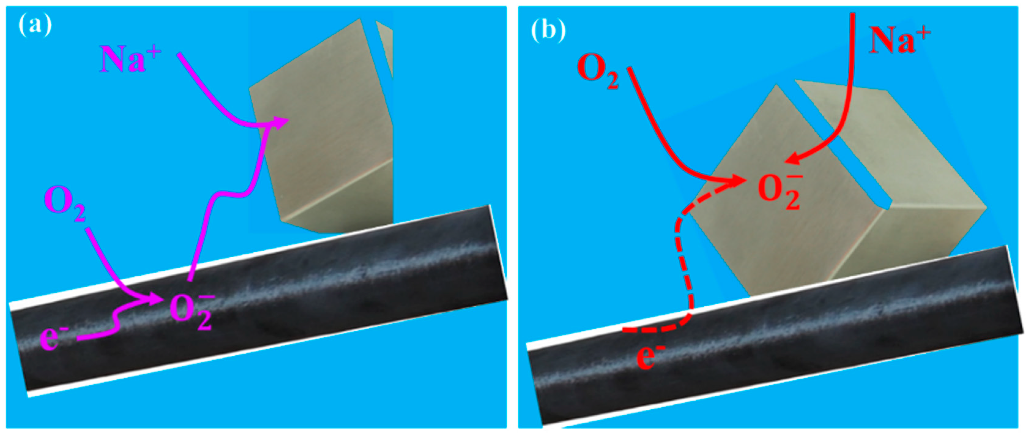 Preprints 92007 g012