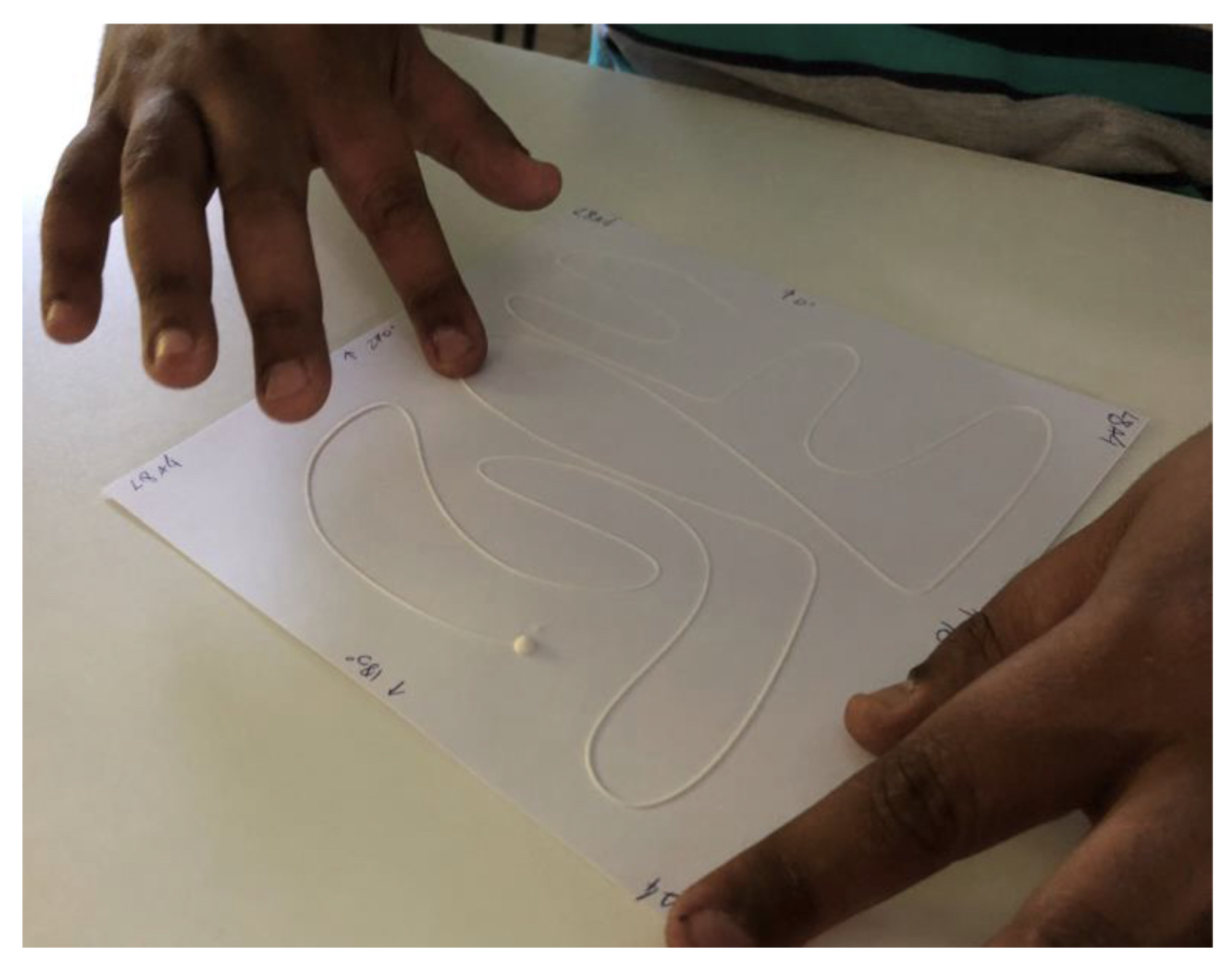 Preprints 78225 g012