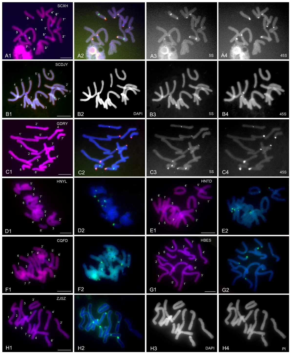 Preprints 230108 g001 Preprints 230108 g001