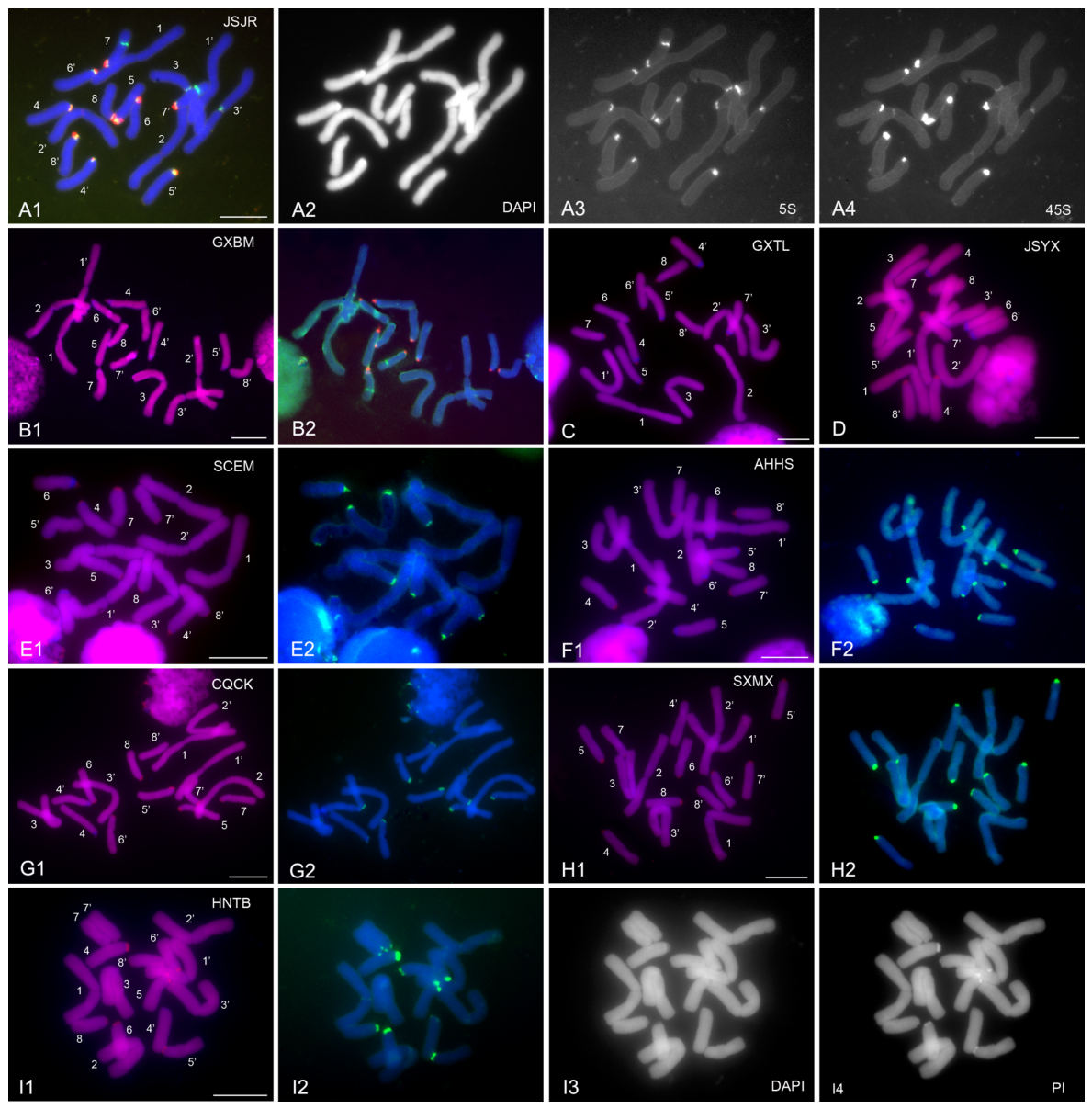 Preprints 230108 g003 Preprints 230108 g003